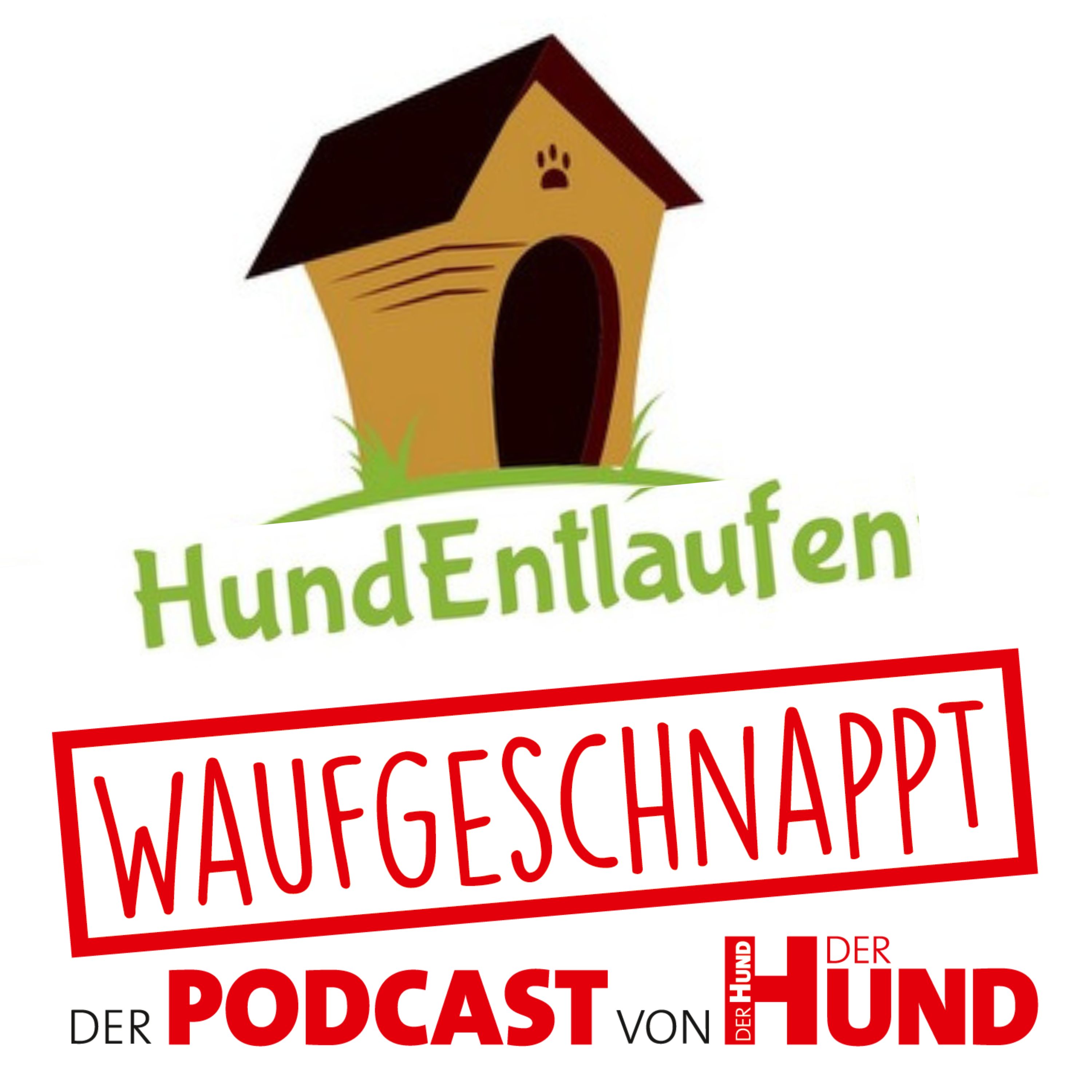 Waufgeschnappt - der Podcast von DER HUND