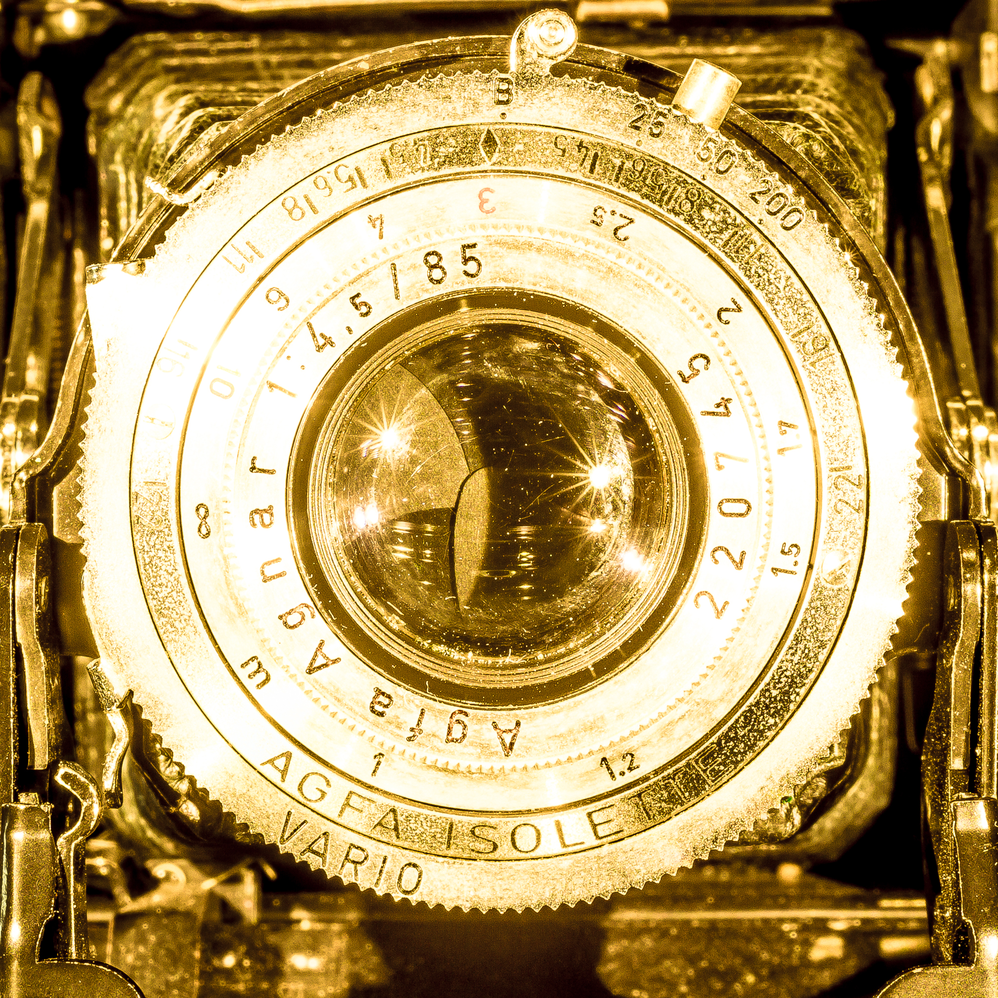 Durchs Wilde Absurdistan