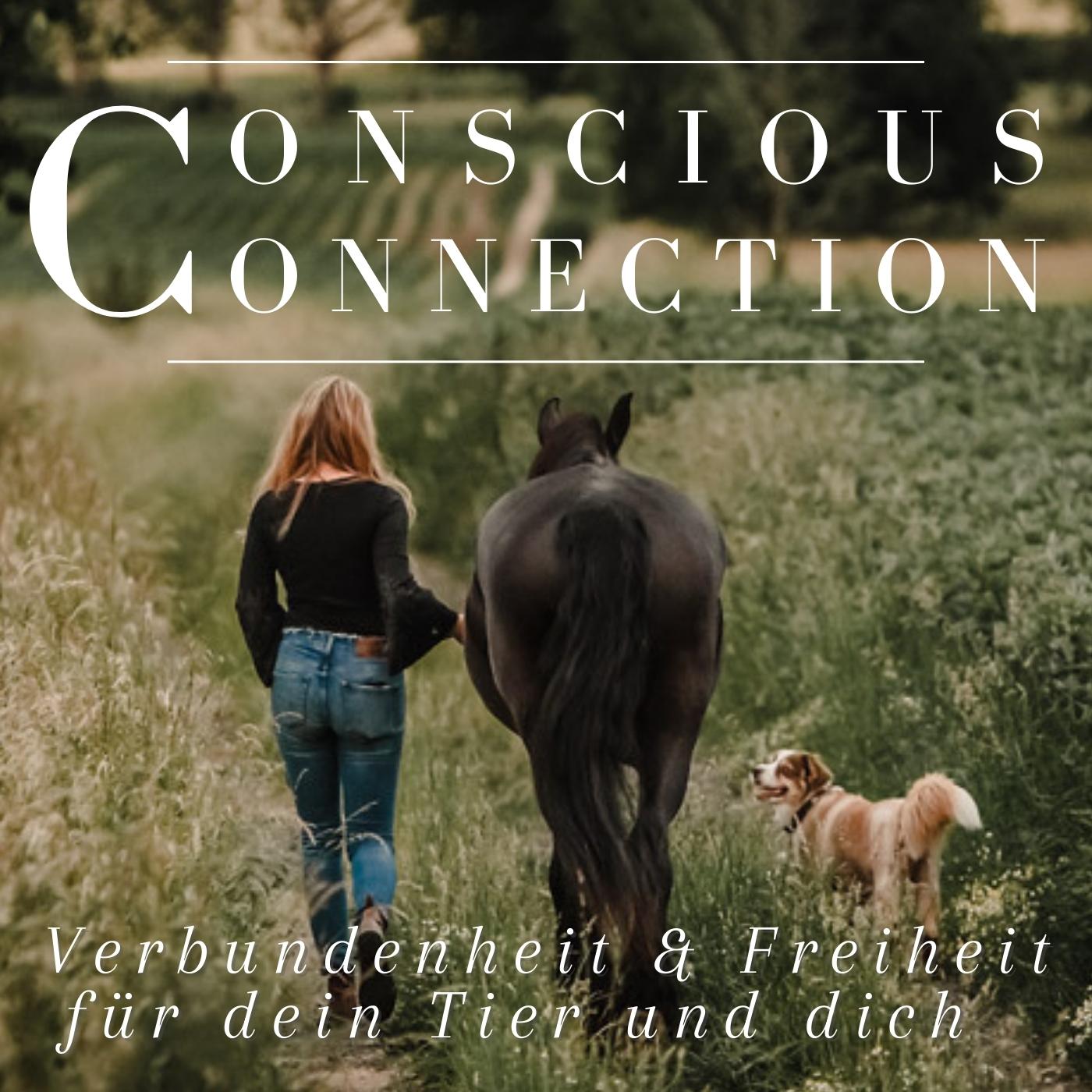 ConsciousConnection - Mit Tieren hin zu mehr Bewusstsein, Verbundenheit & Freiheit