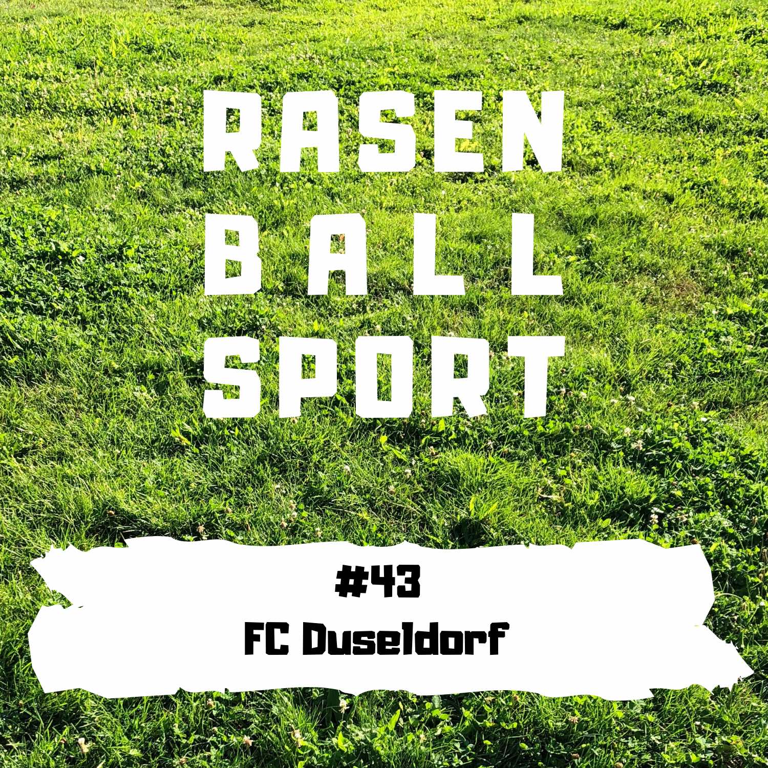 RASENBALLSPOTT