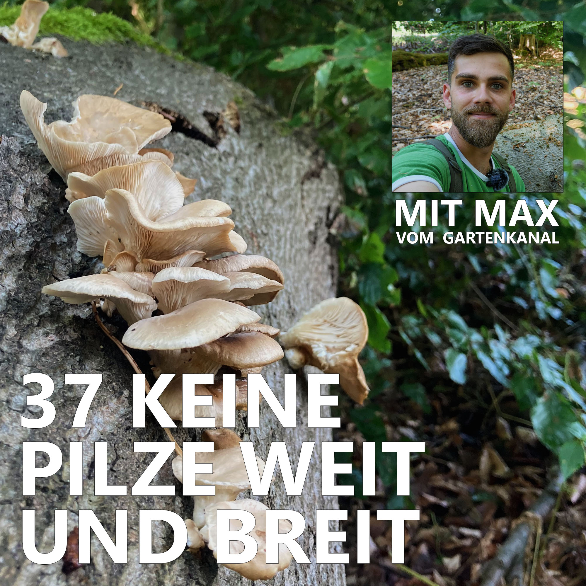 Der Pilzpodcast