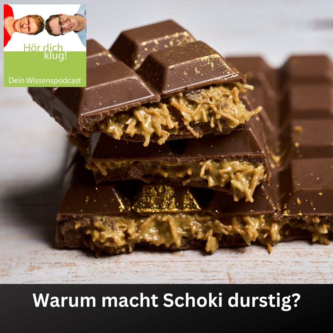 Hör dich klug! - Dein Wissenspodcast