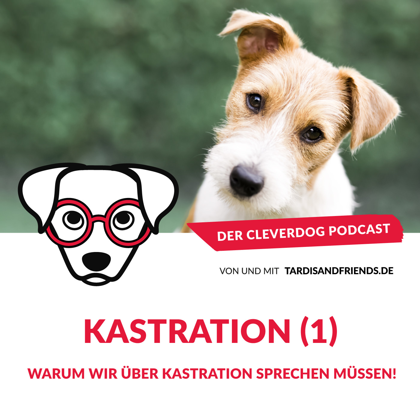 Der Cleverdog Podcast – mehr Wissen rund um den Hund!
