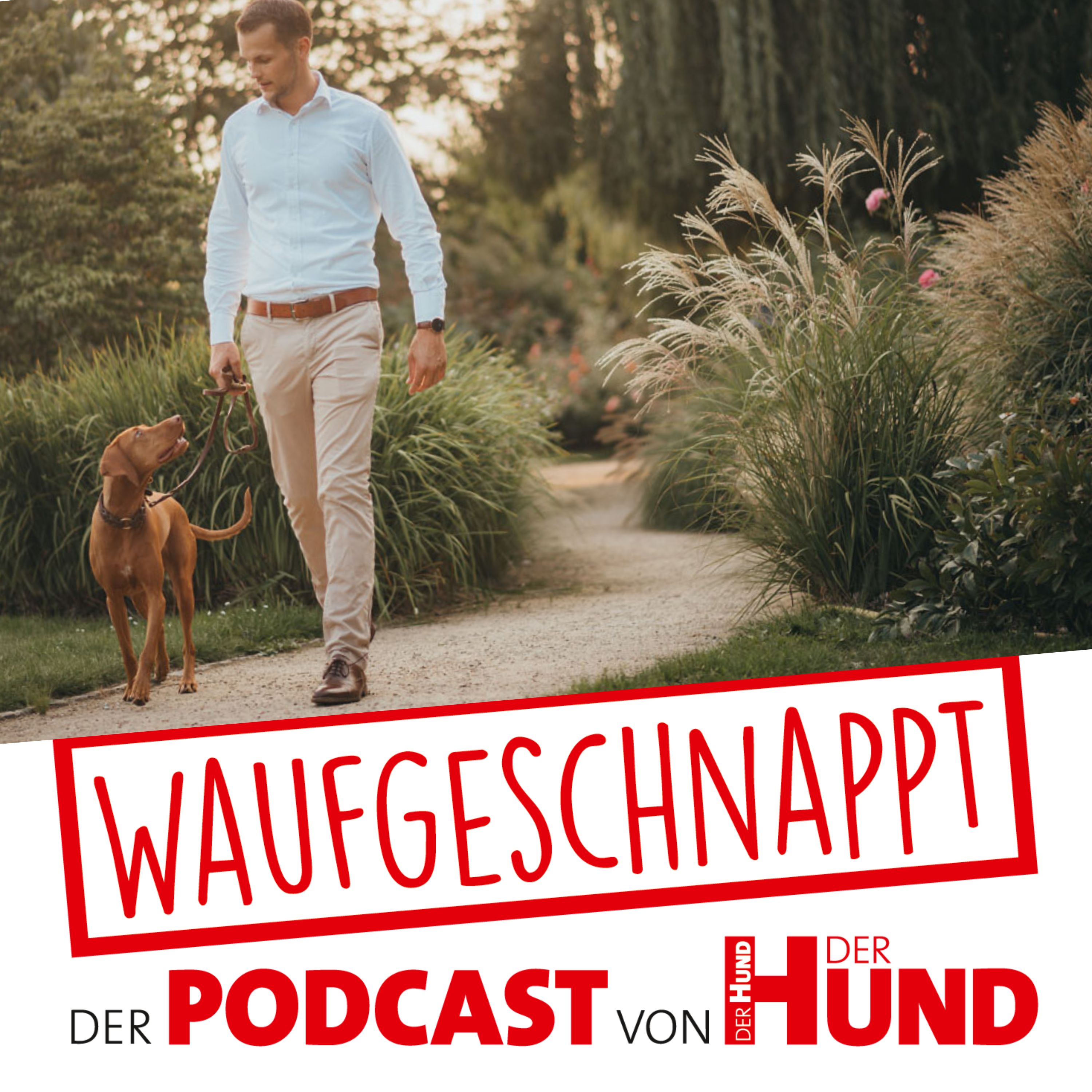 Waufgeschnappt - der Podcast von DER HUND
