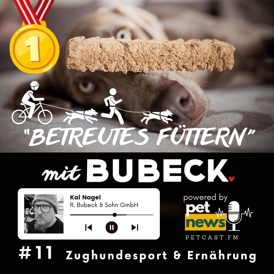 Betreutes Füttern mit Bubeck - Die älteste Hundefuttermanufaktur von 1893