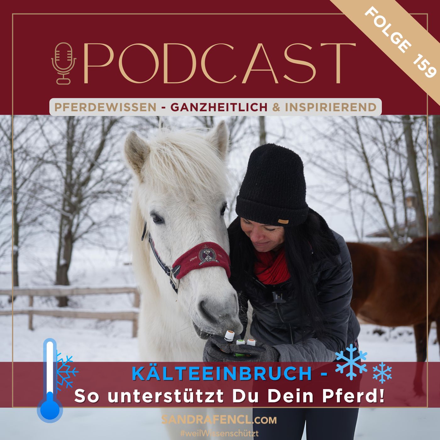 Pferdewissen - ganzheitlich & inspirierend mit Sandra Fencl