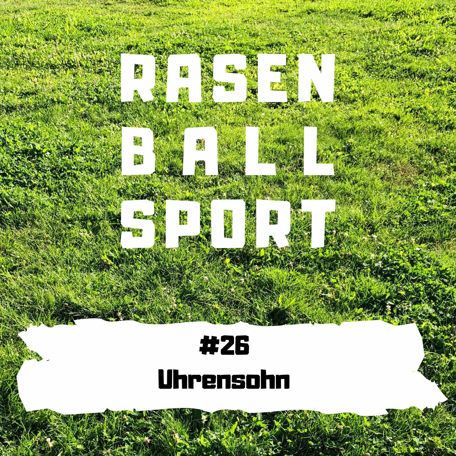 RASENBALLSPOTT