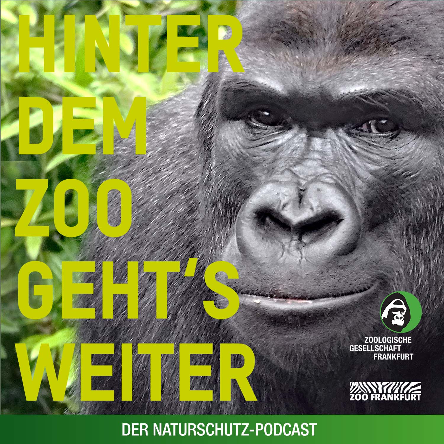 Hinter dem Zoo geht\'s weiter - Der Naturschutzpodcast aus Frankfurt