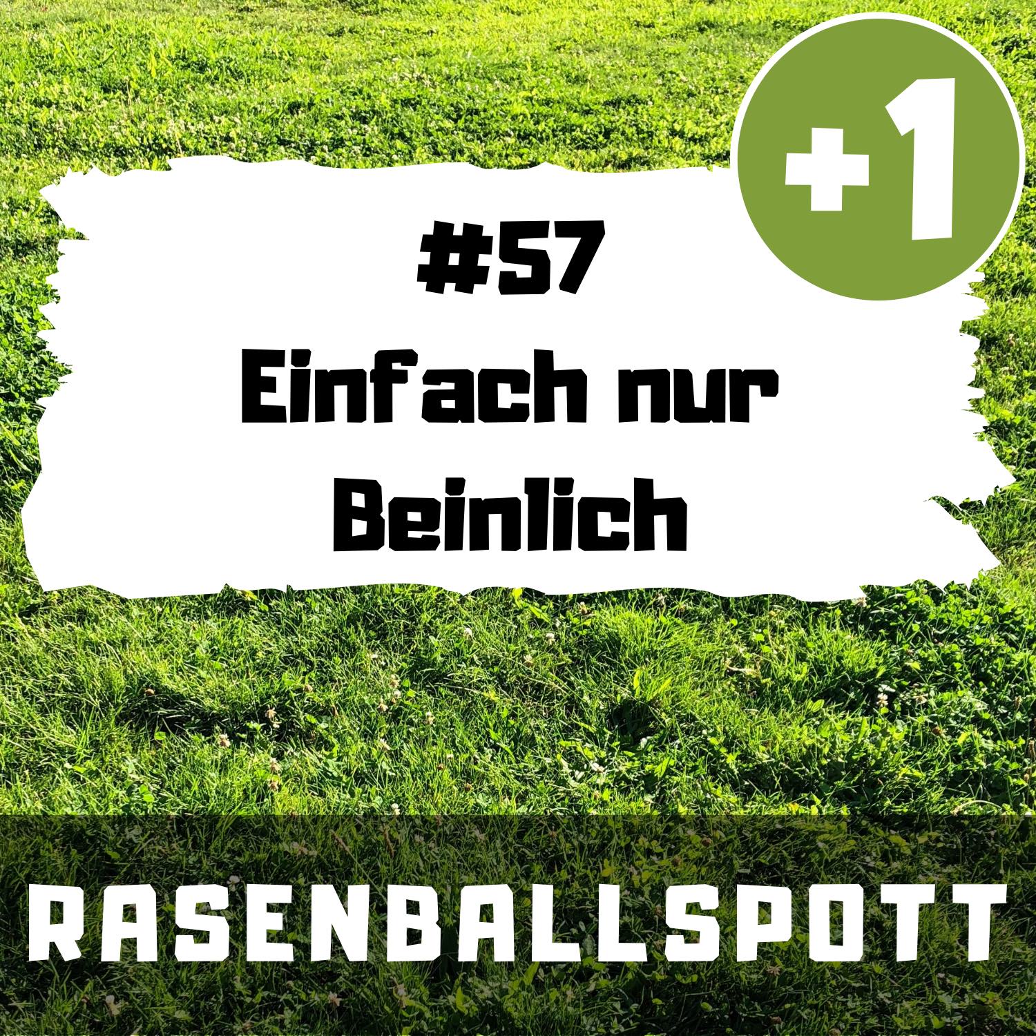 RASENBALLSPOTT