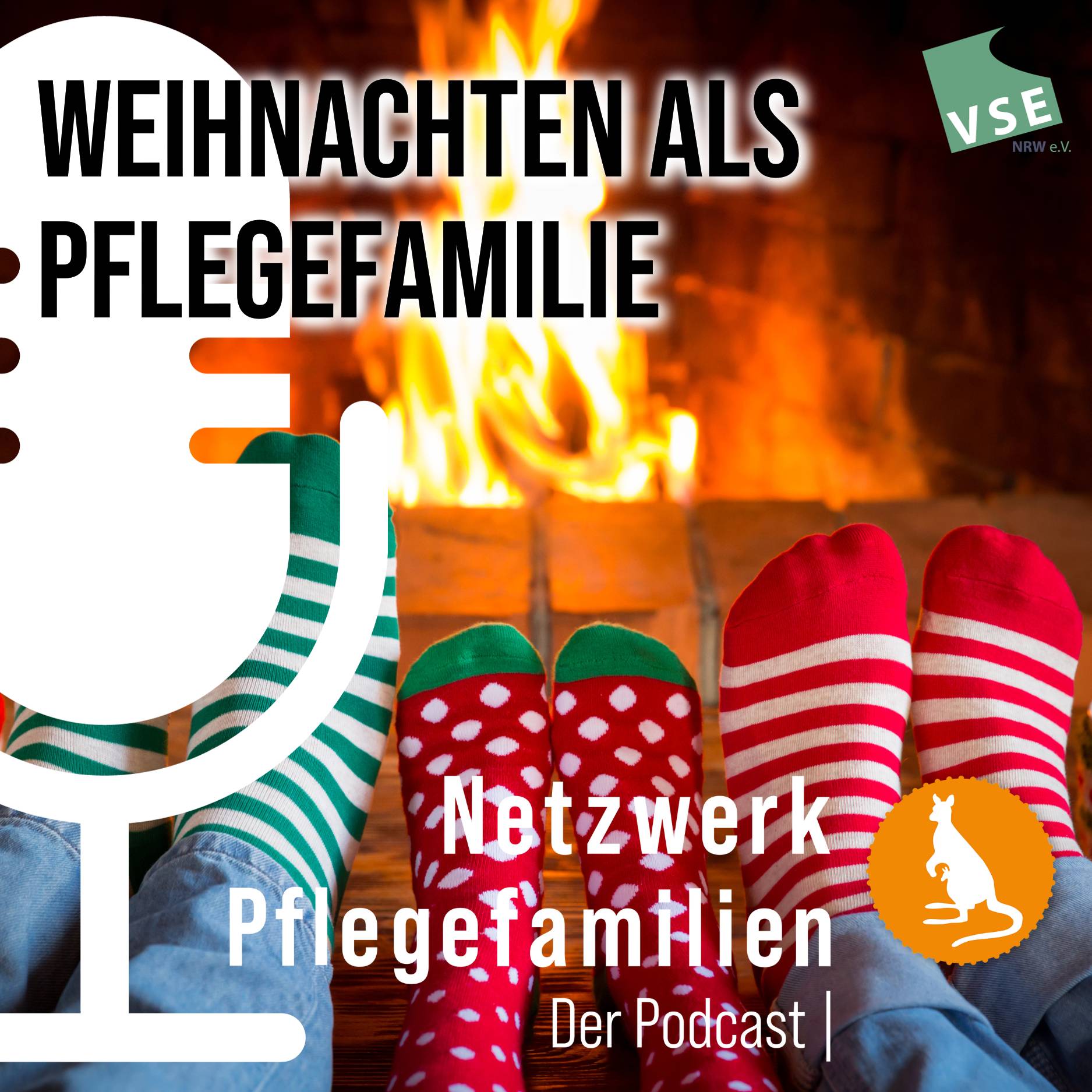 Netzwerk Pflegefamilien - Der Podcast