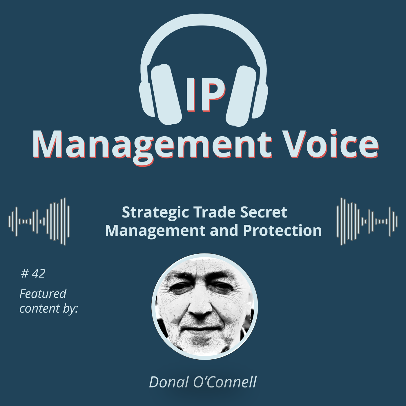 🎧  IP Management Voice - Your Podcast on the World of IP and IP Management