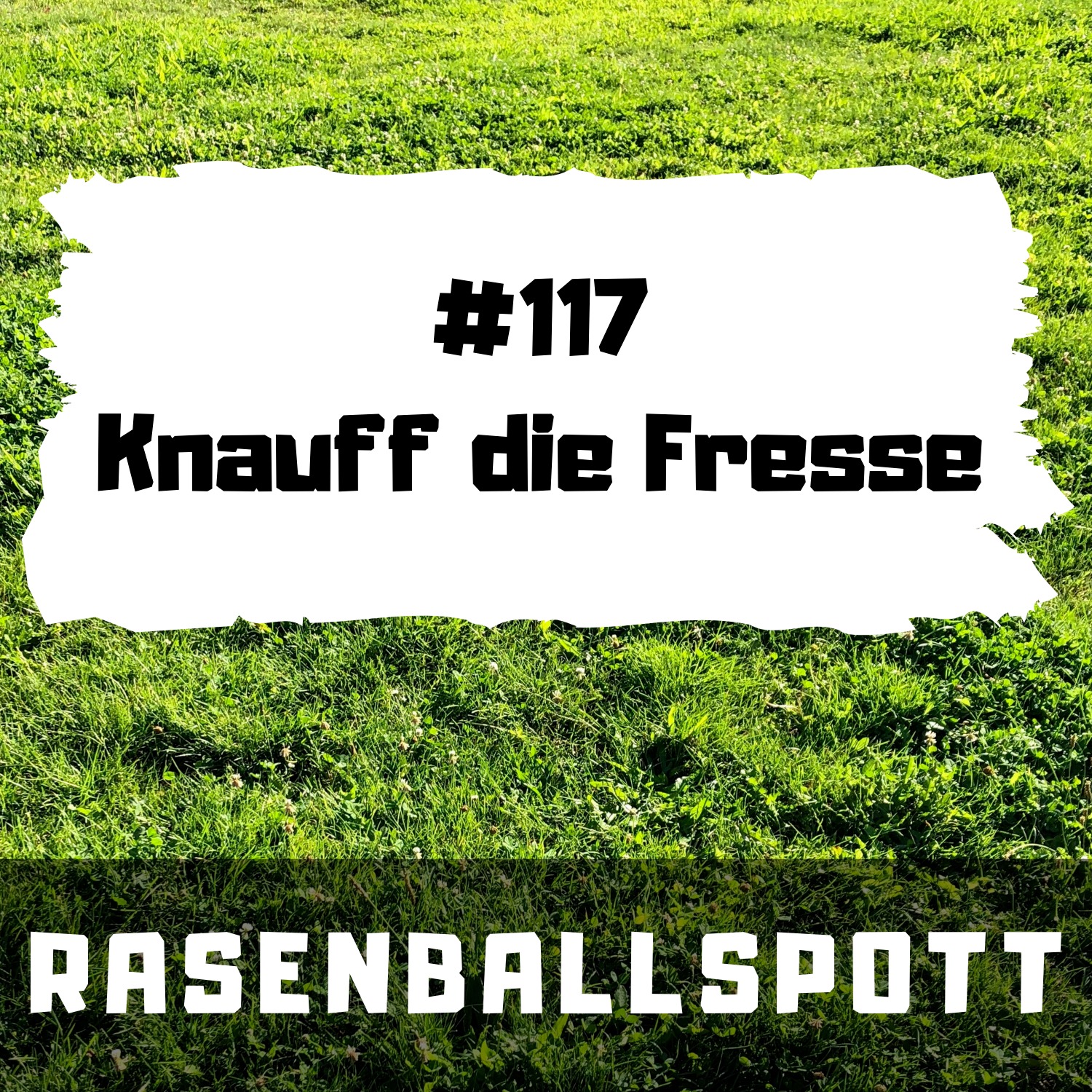 RASENBALLSPOTT