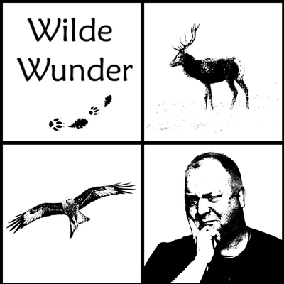 Wilde Wunder