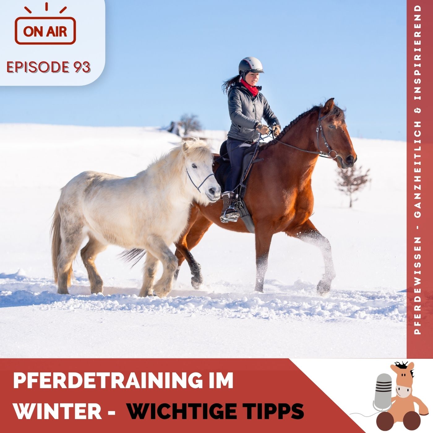 Pferdetraining im Winter - wichtige Tipps episode artwork