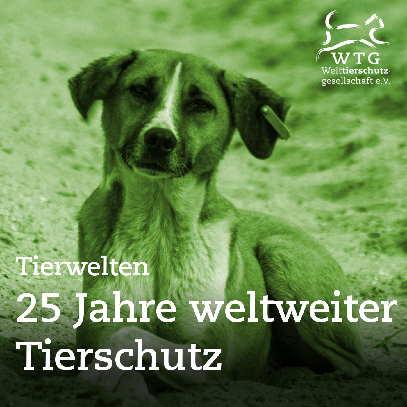 Tierwelten