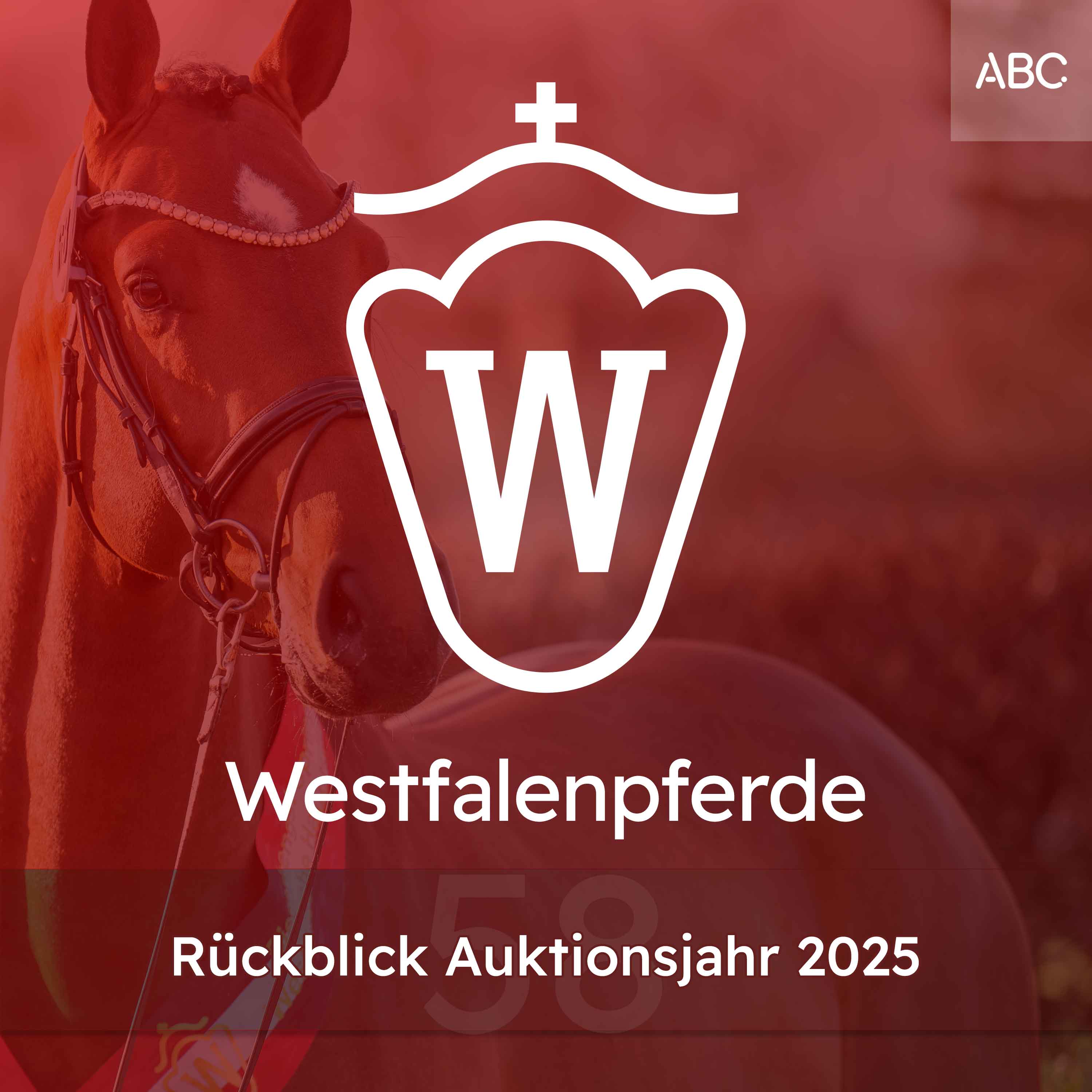 Rückblick Auktionsjahr 2025