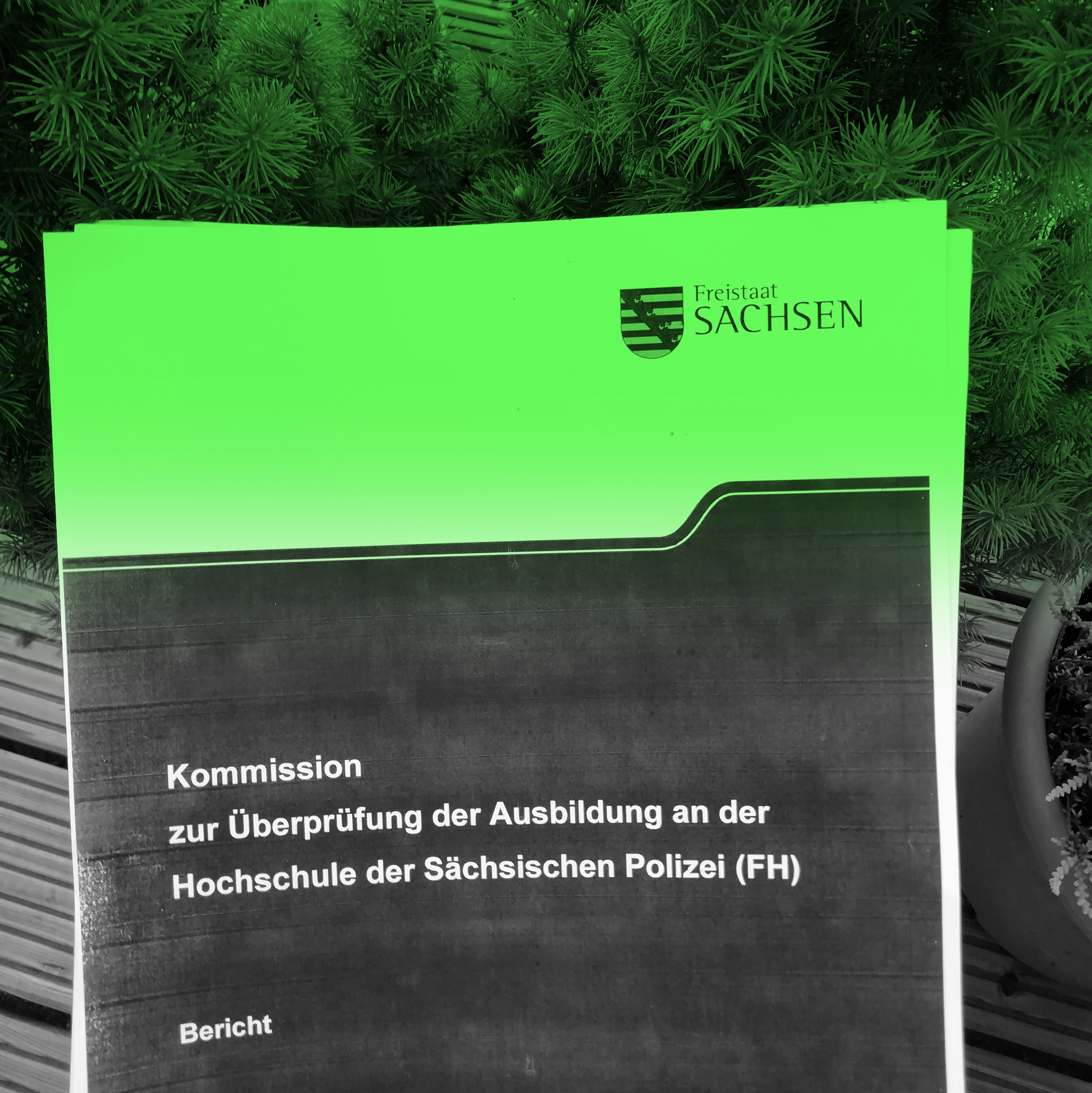 Zwischenrufe – Der grüne Politikpodcast aus Sachsen