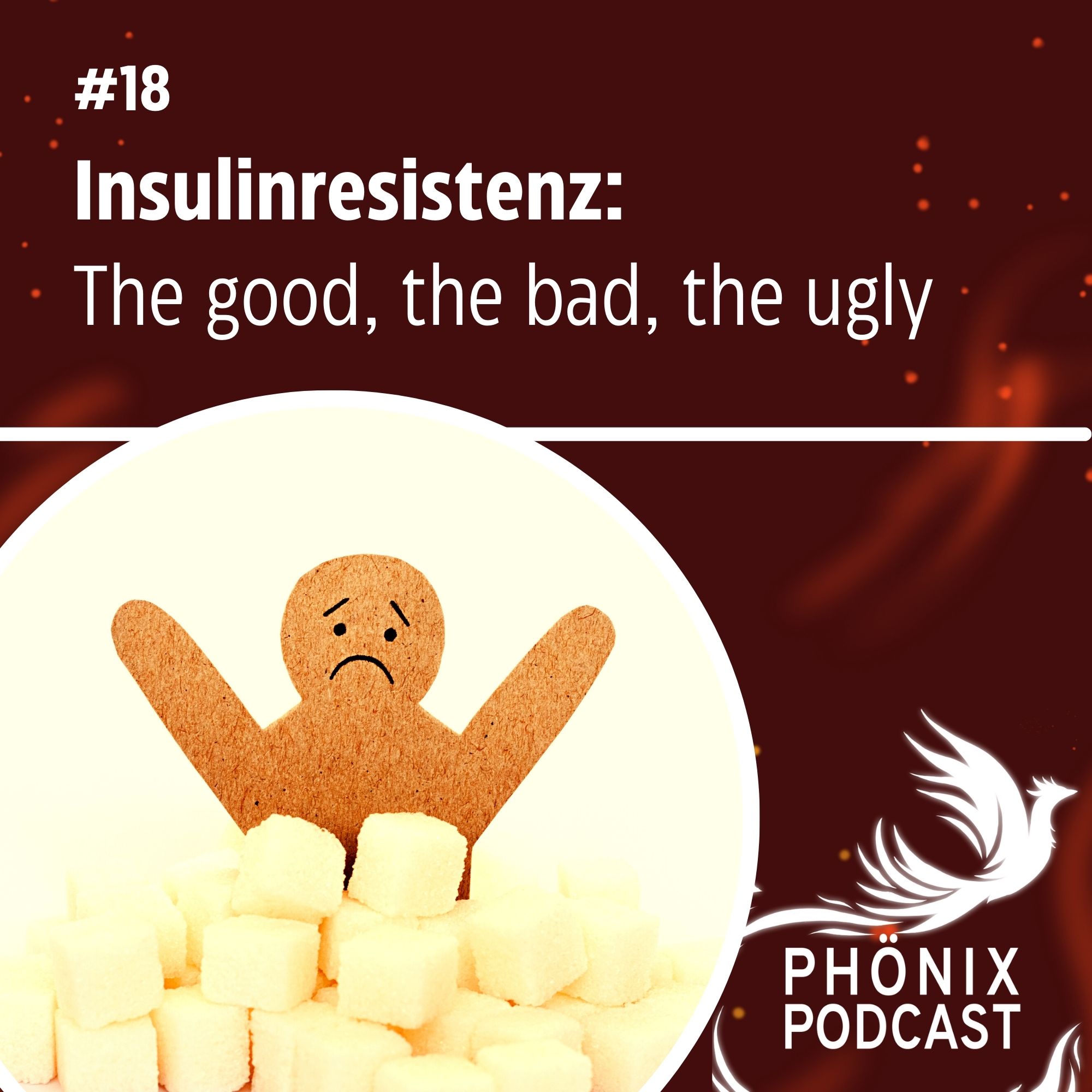 Insulinrestistenz - The good, the bad, the ugly #19 - podcast episode cover