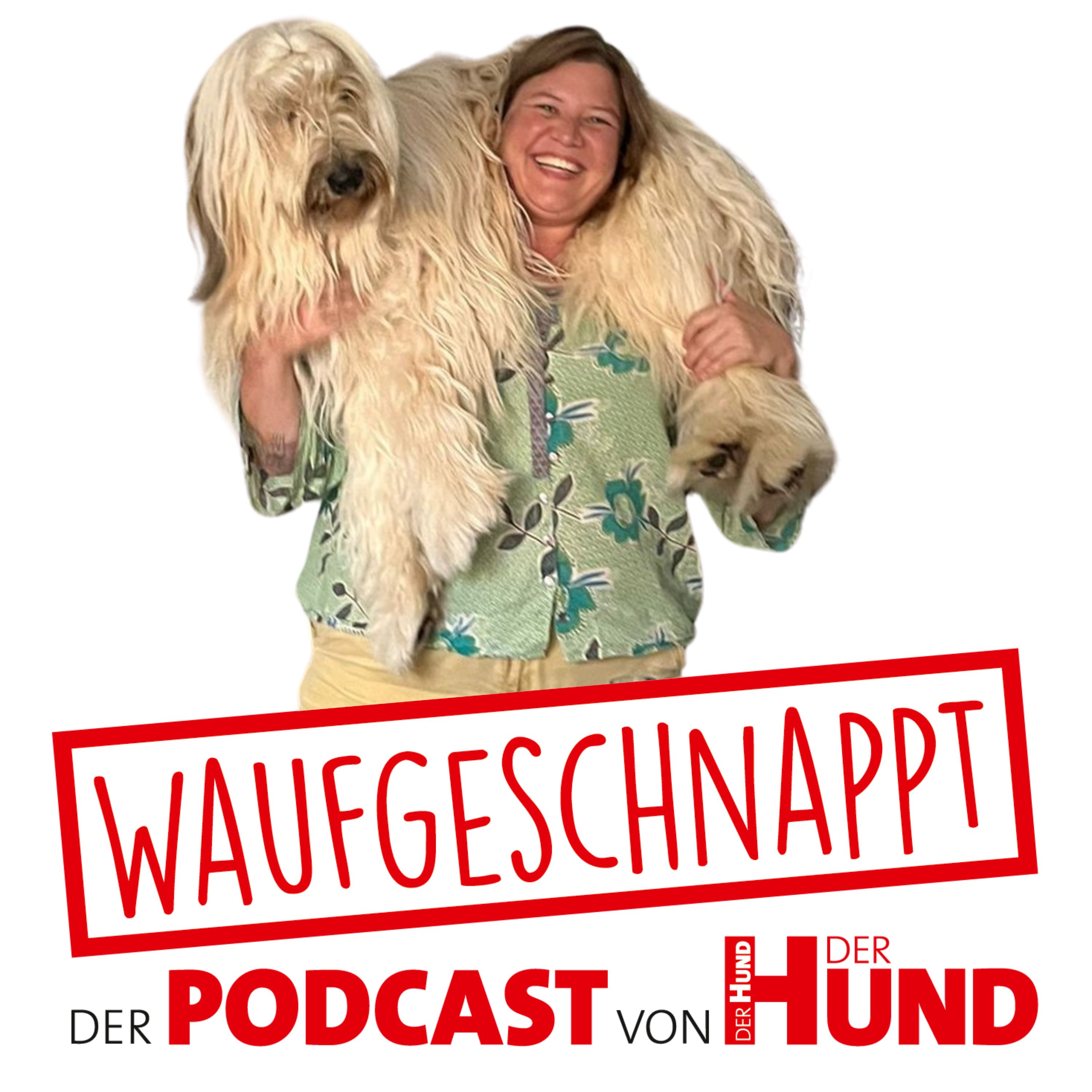 Waufgeschnappt - der Podcast von DER HUND