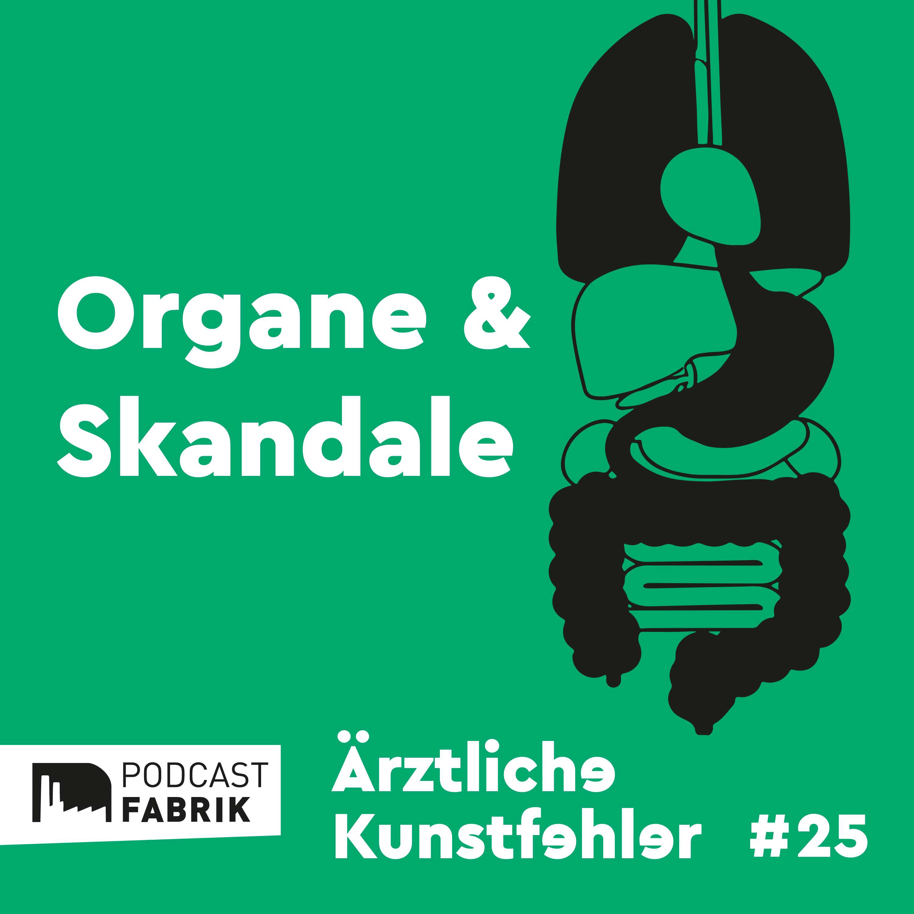 Ärztliche Kunstfehler und andere Medizingeschichten