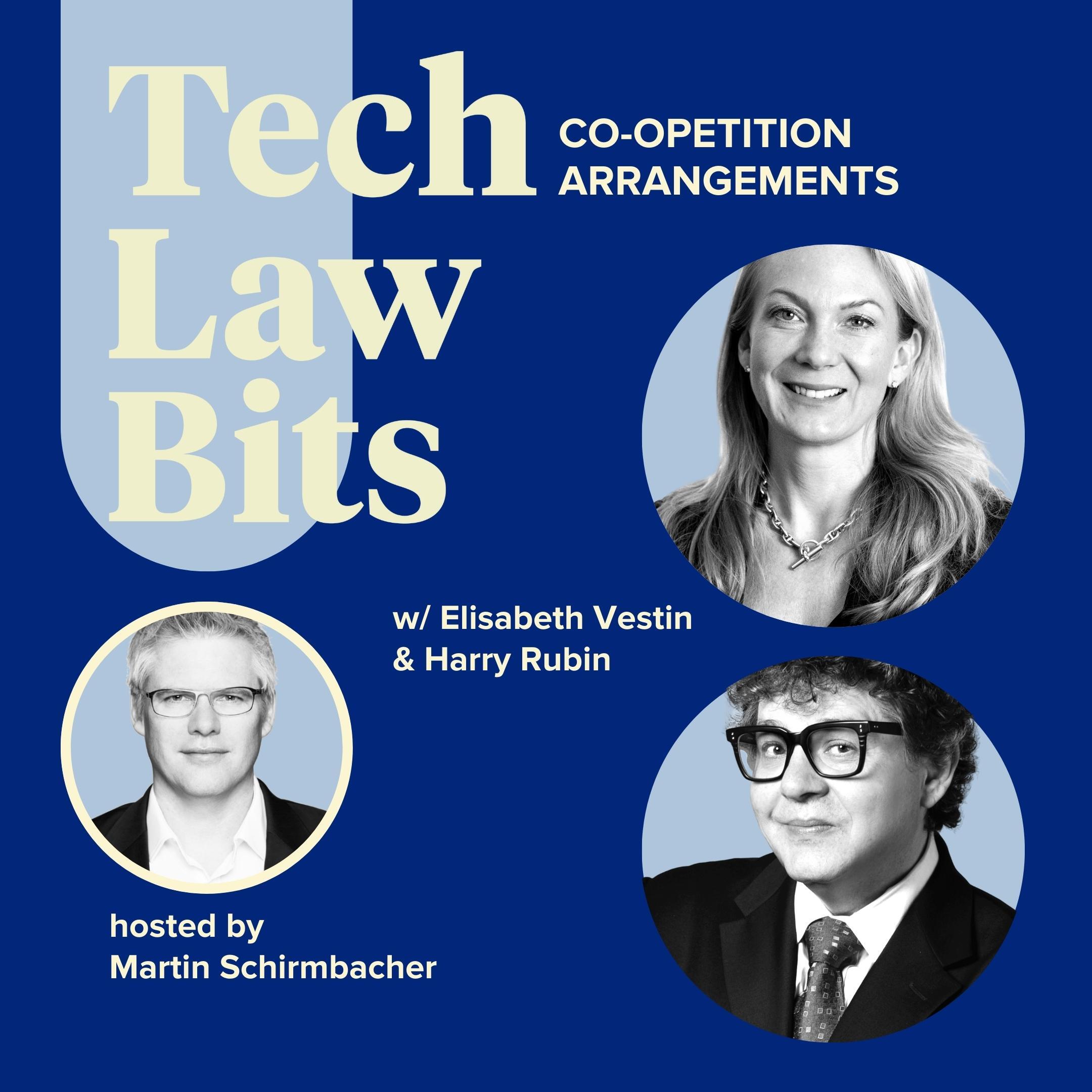 Tech Law Bits