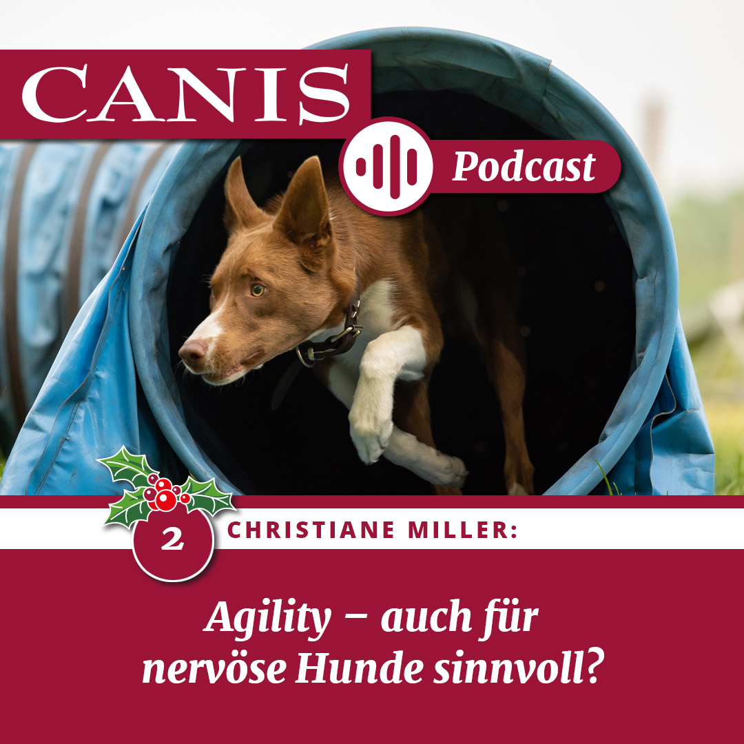 Der CANIS-Podcast – Hundeexpert:innen ausgefragt