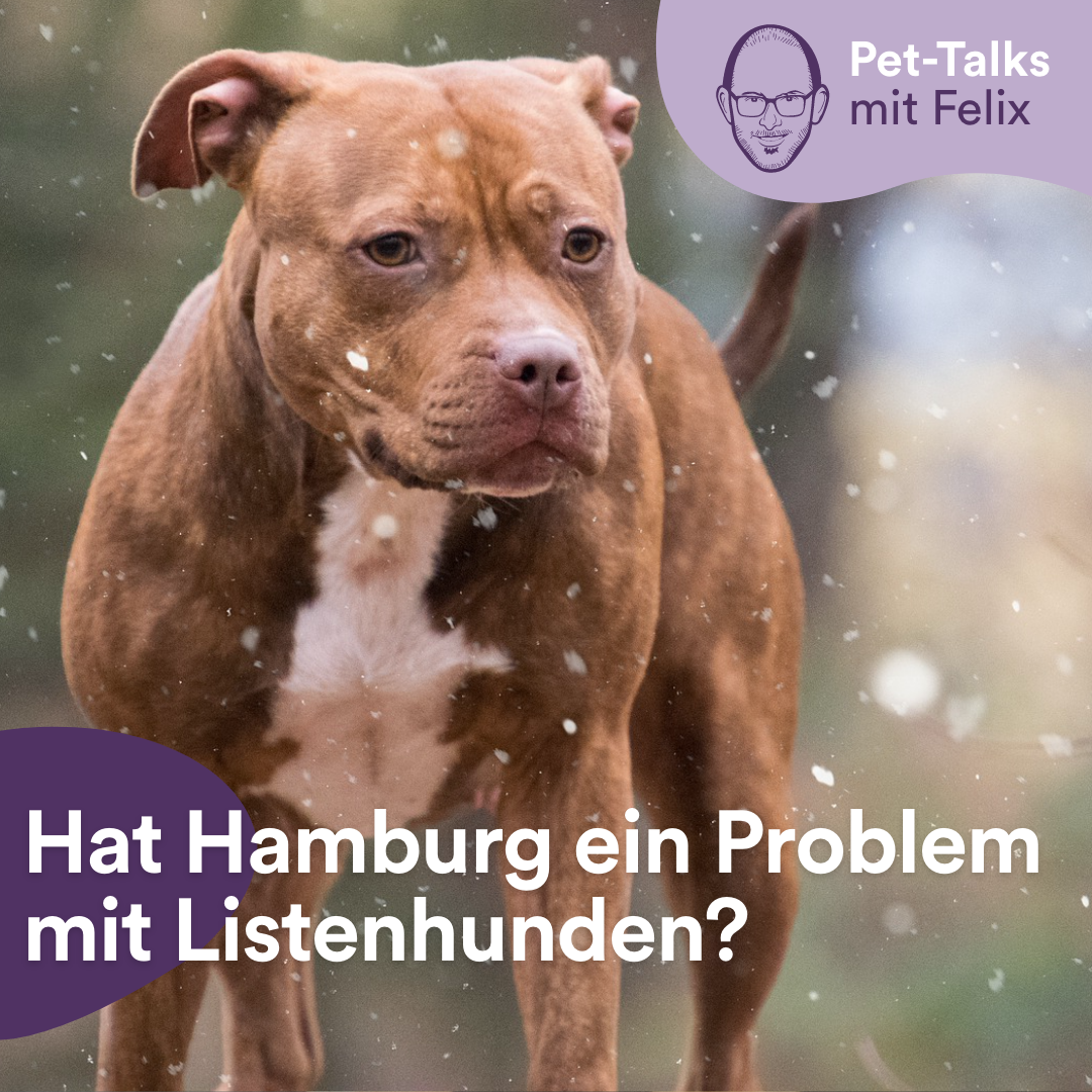 Pet-Talks: Klartext – der Interview-Podcast von DeineTierwelt