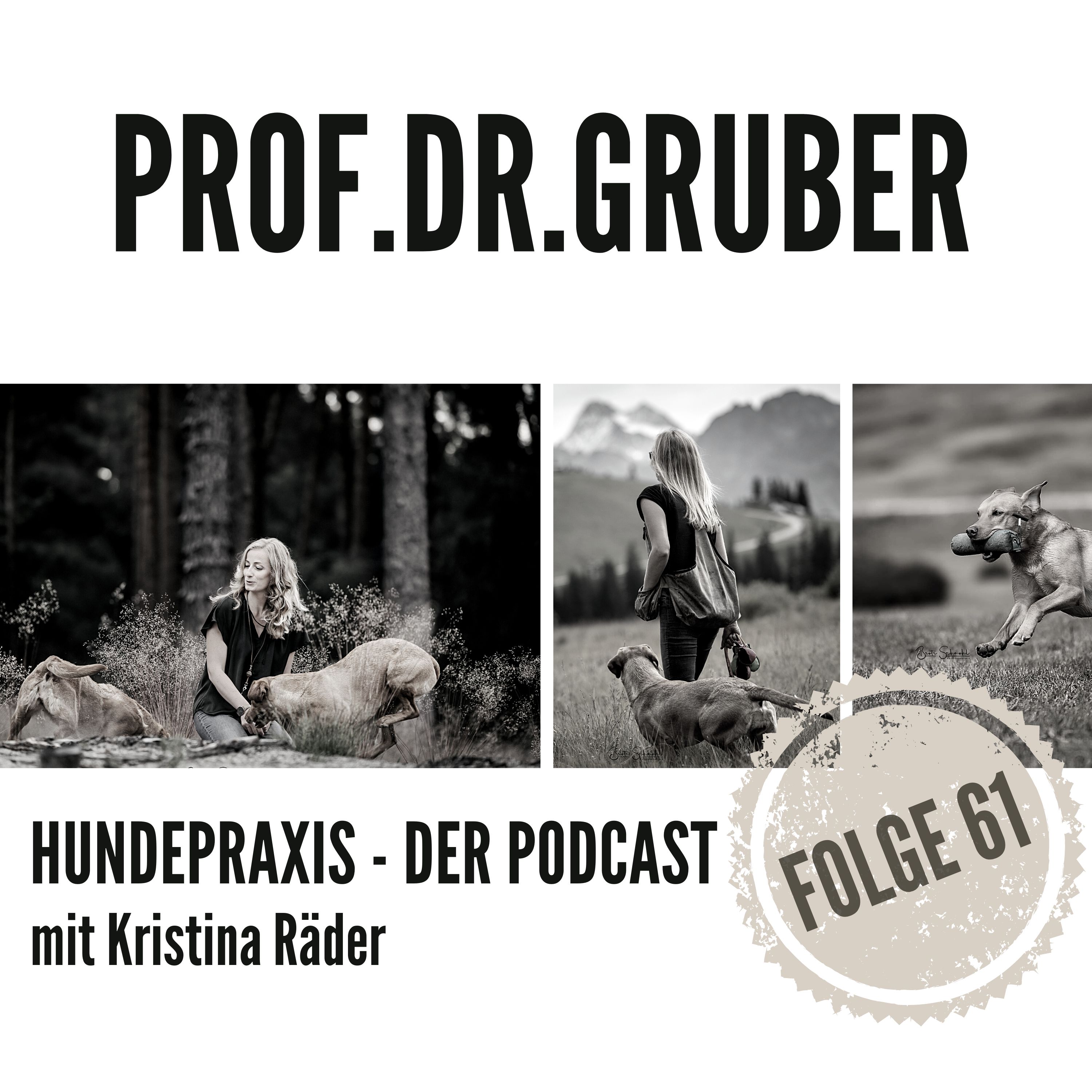 Hundepraxis - der Podcast