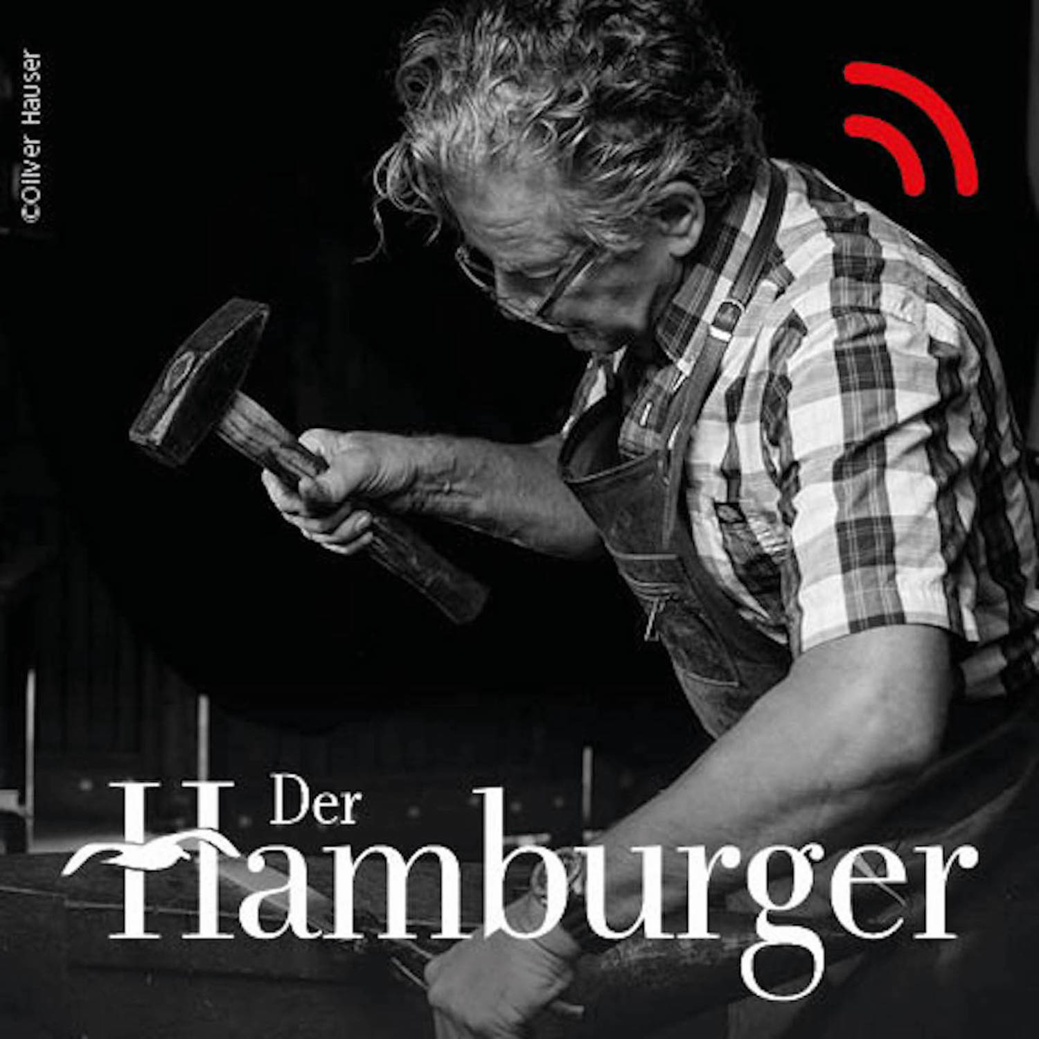 DER HAMBURGER Inside. Stimmen dieser Stadt