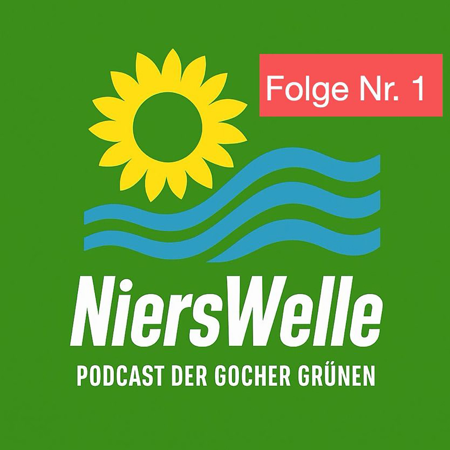 Nierswelle Folge 1 - Interview mit Antje Engler-Janßen episode artwork