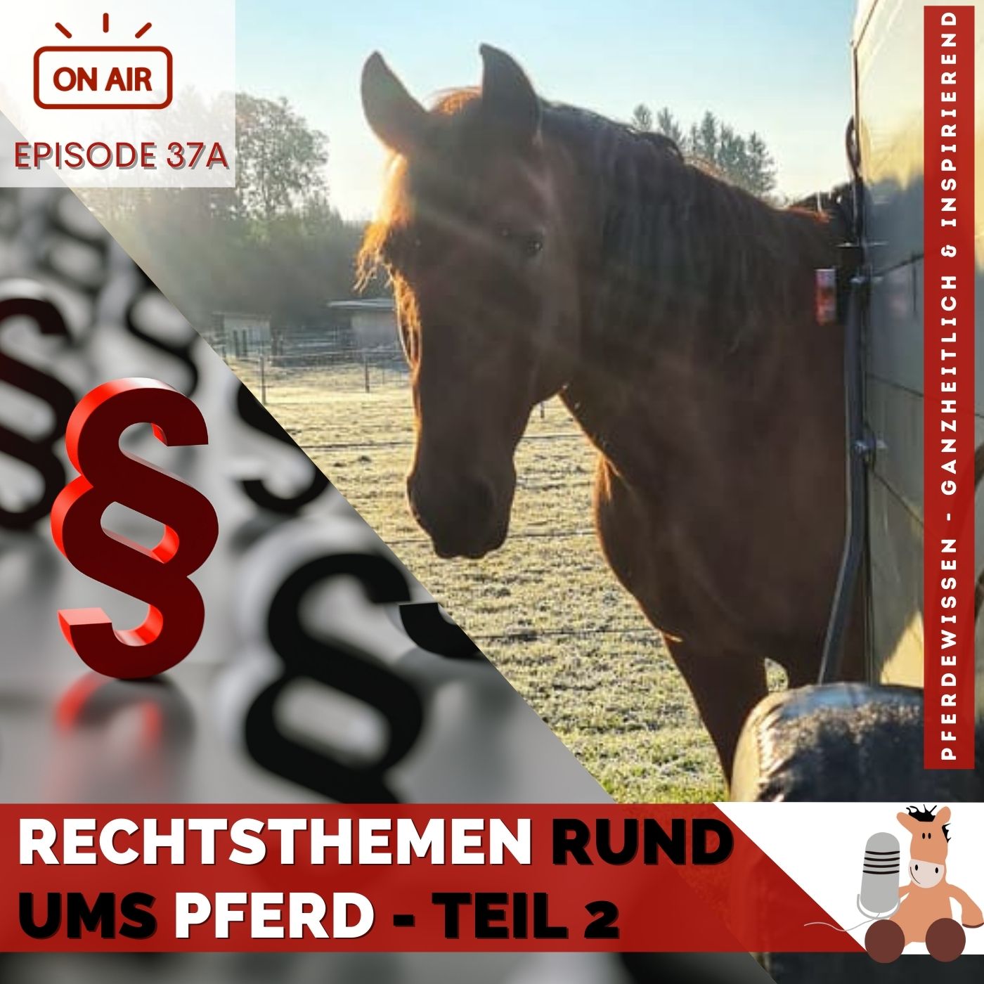 Pferdewissen - ganzheitlich & inspirierend mit Sandra Fencl