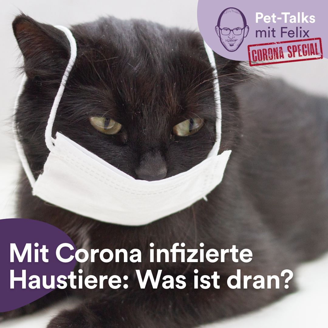 Pet-Talks: Klartext – der Interview-Podcast von DeineTierwelt