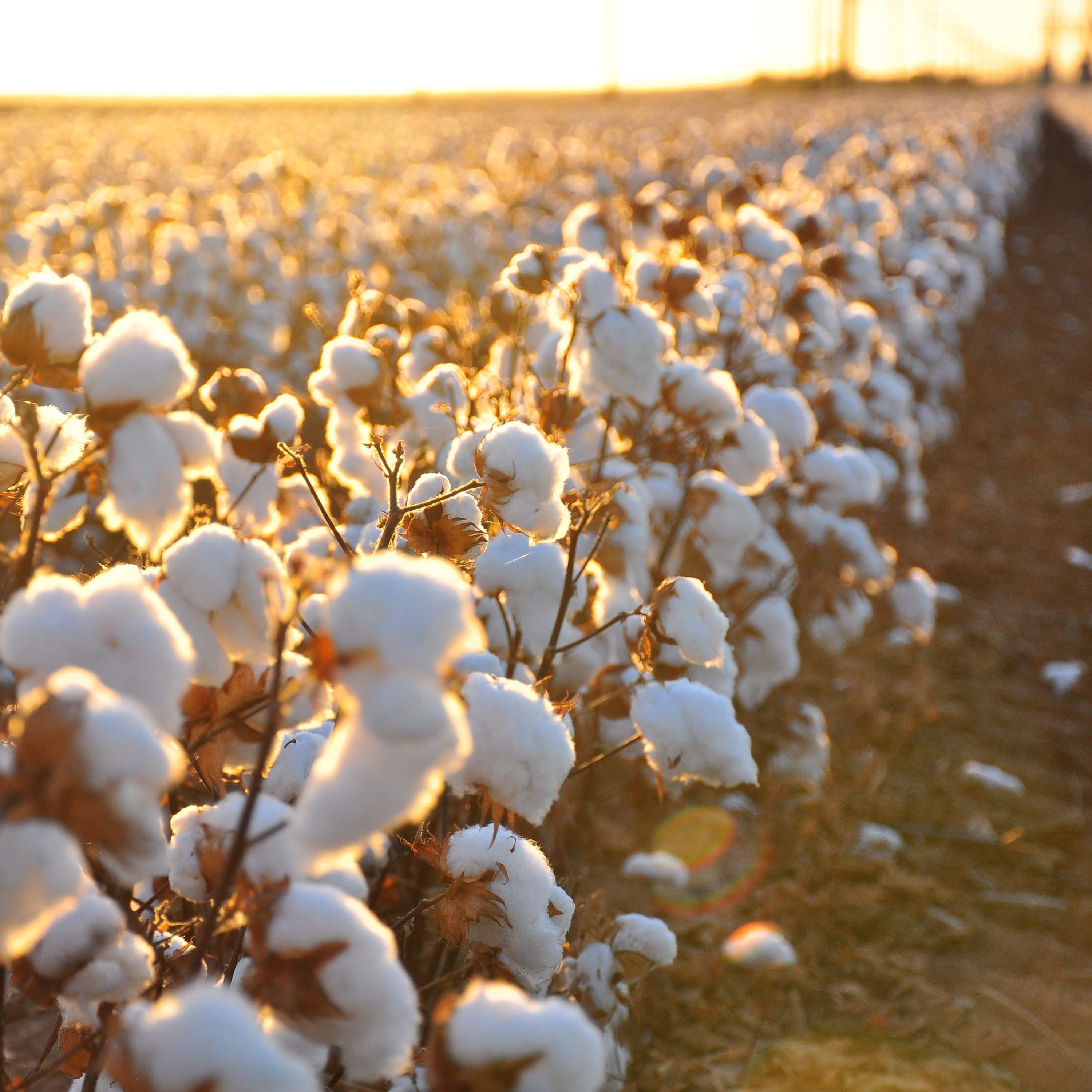 #01 Zwangsarbeit im 21. Jahrhundert | Was ist Schuldknechtschaft?