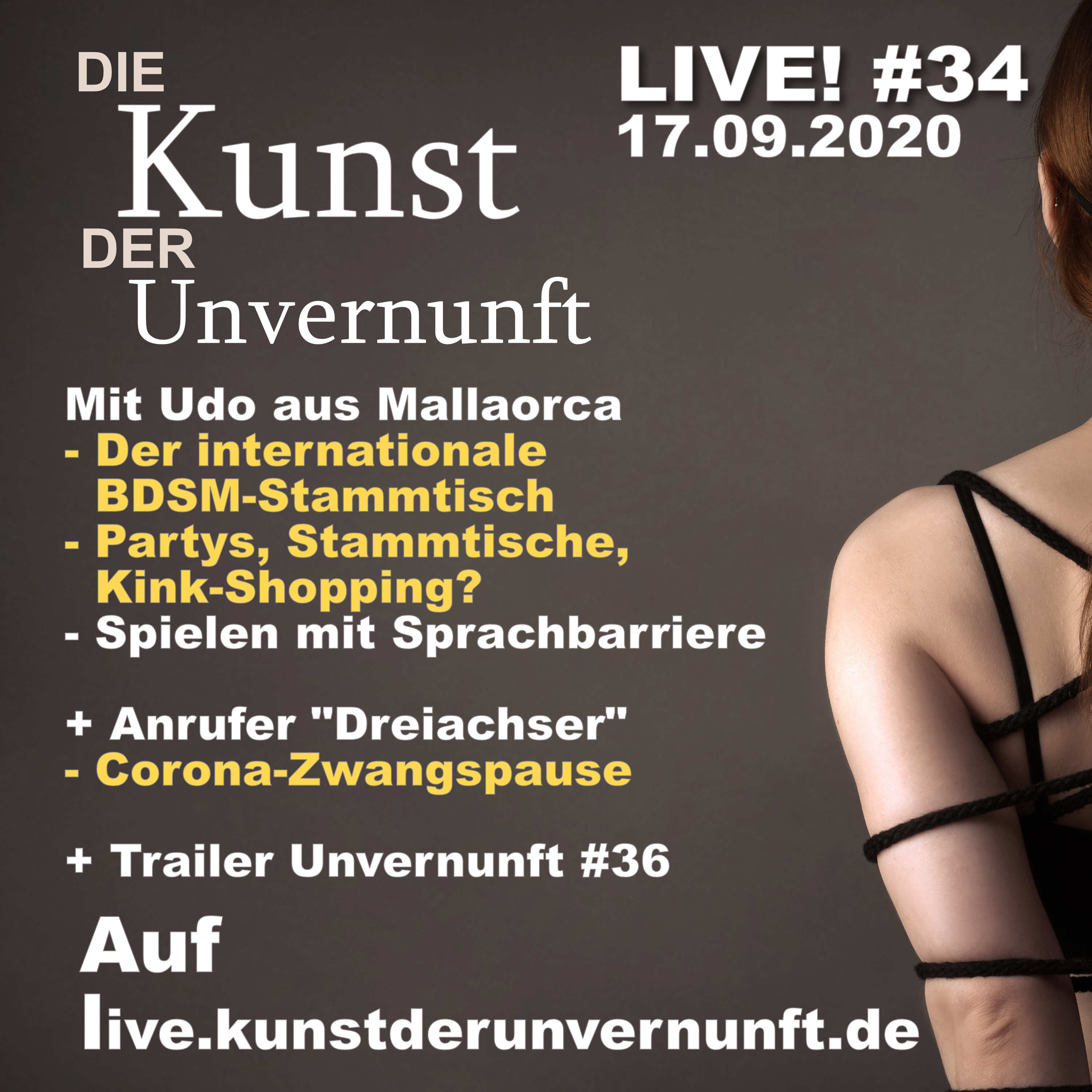 BDSM - Die Kunst der Unvernunft