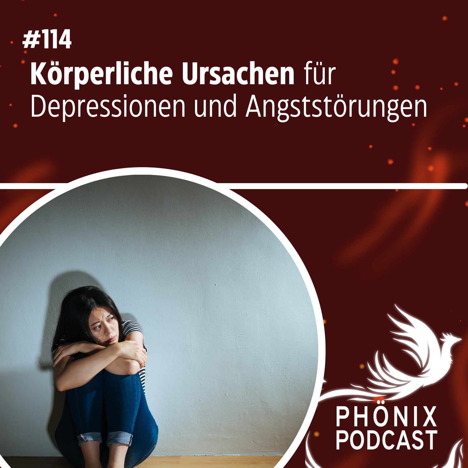 Körperliche Ursachen für Depressionen und Angststörungen #114 - podcast episode cover