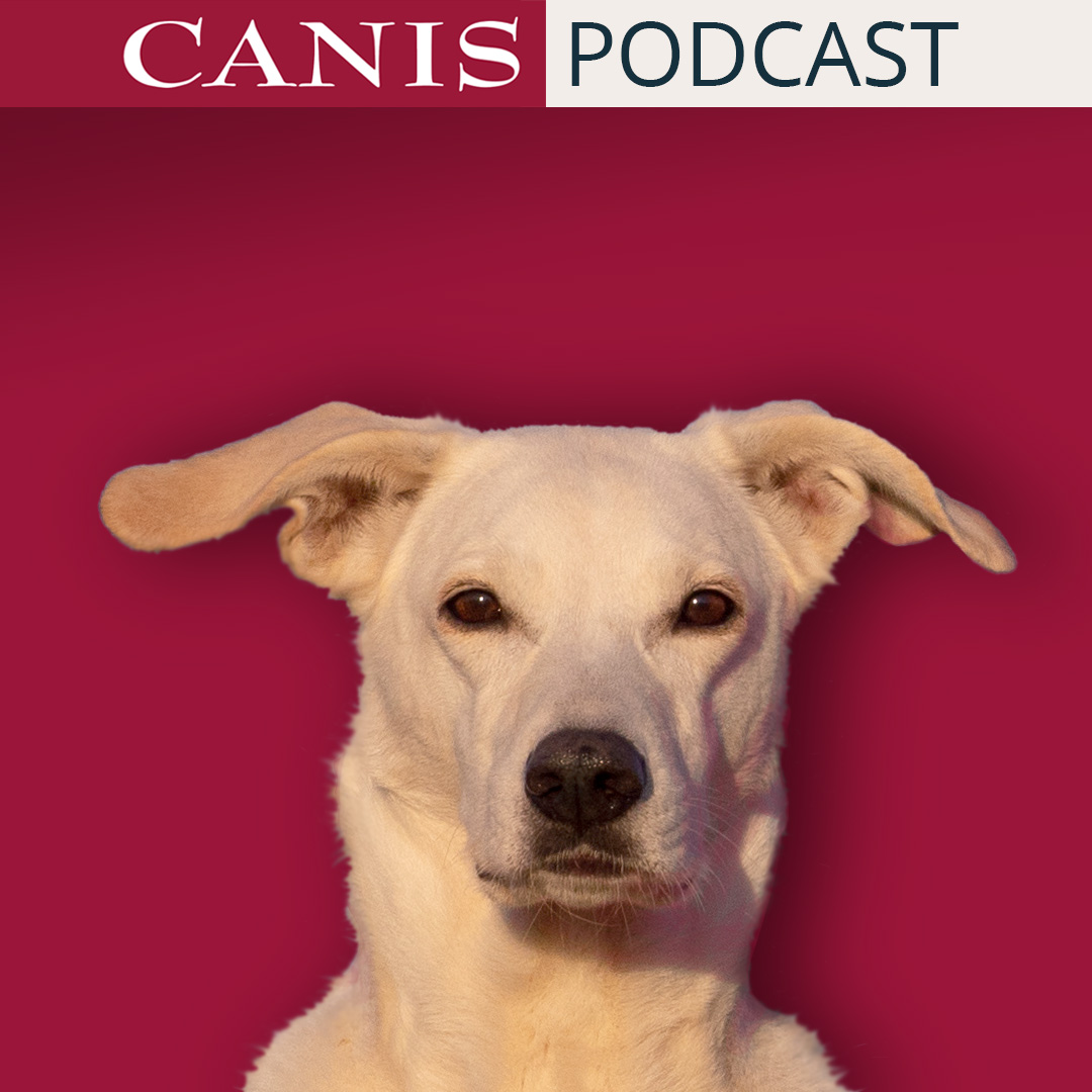 Claudia Lange – Hundetraining bedeutet, mit Menschen zu arbeiten! episode artwork
