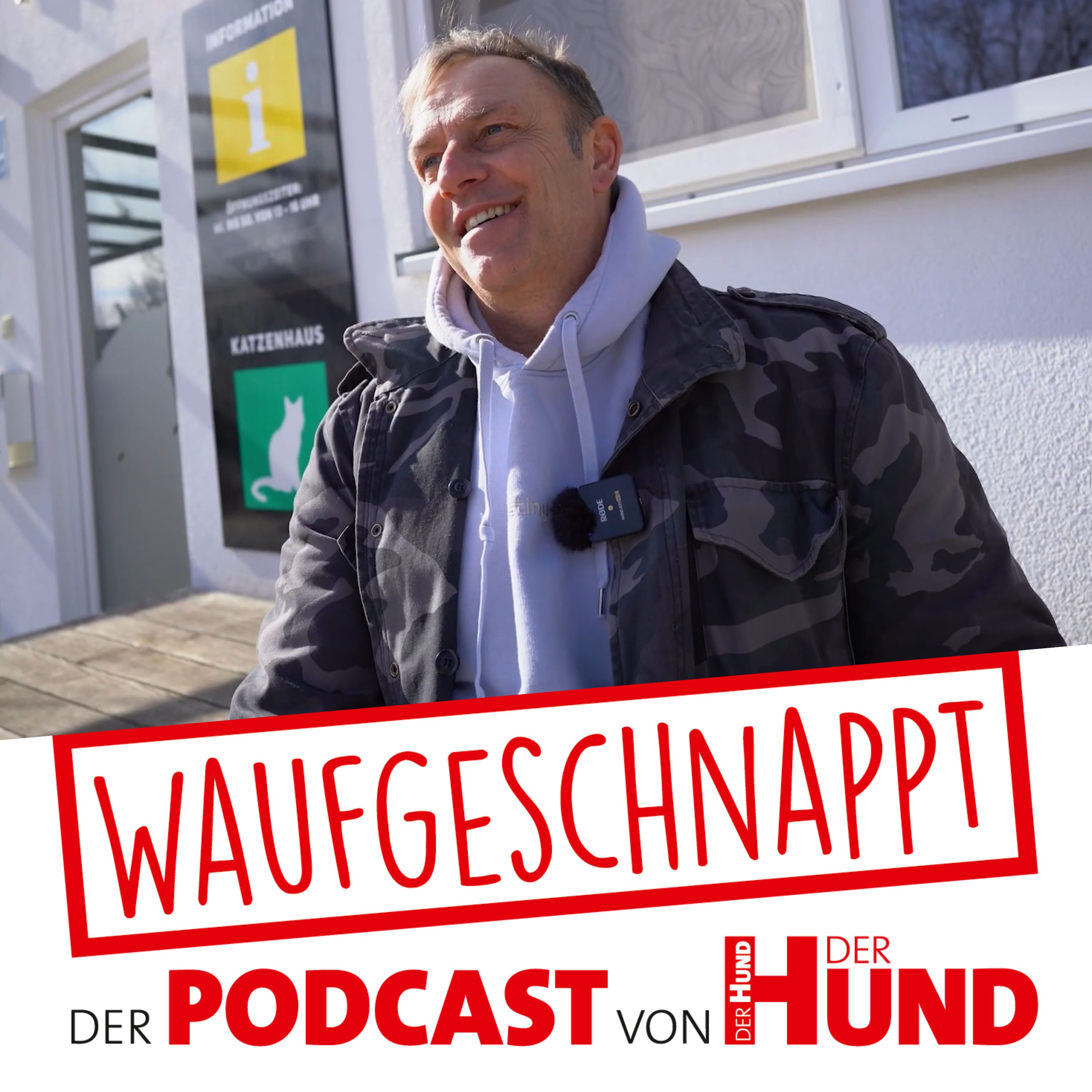 Über die Arbeit mit Tierheim-Hunden - Hans Brings