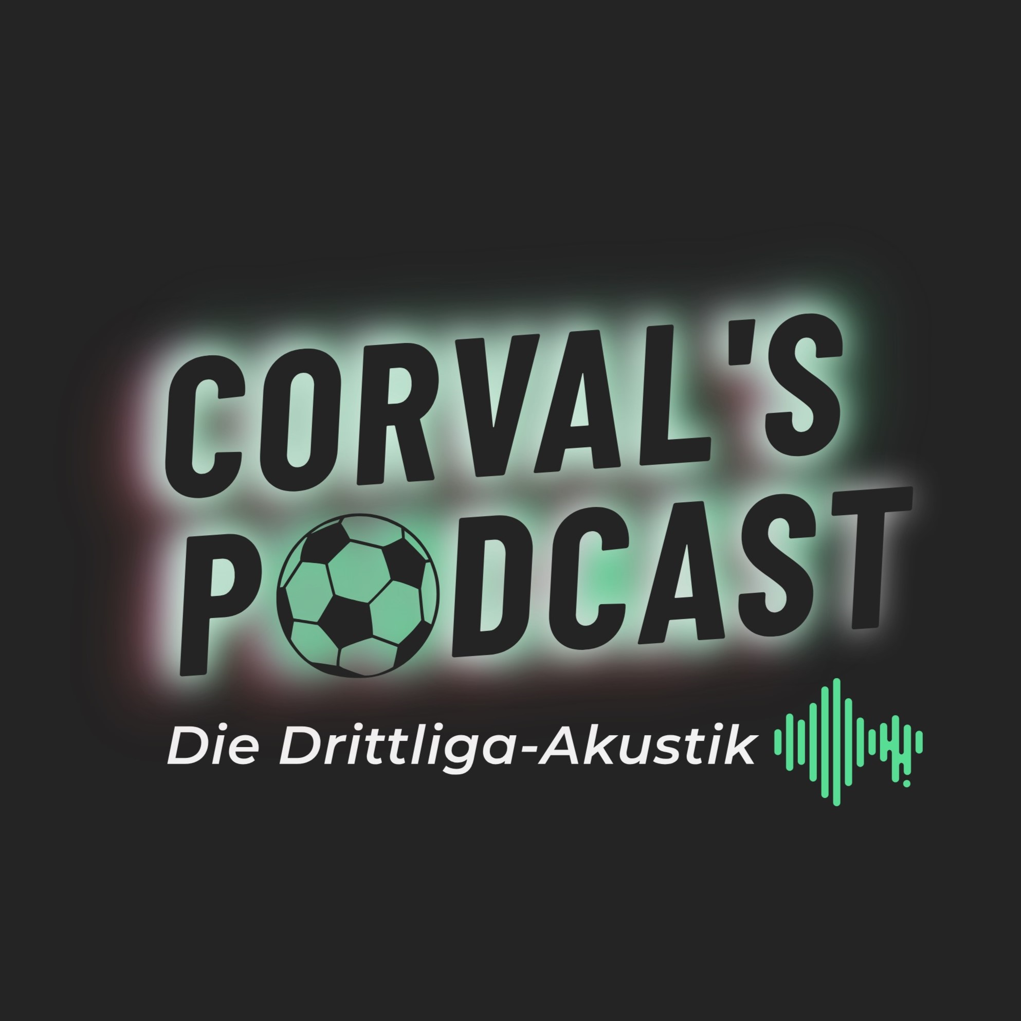 Die Drittliga-Akustik