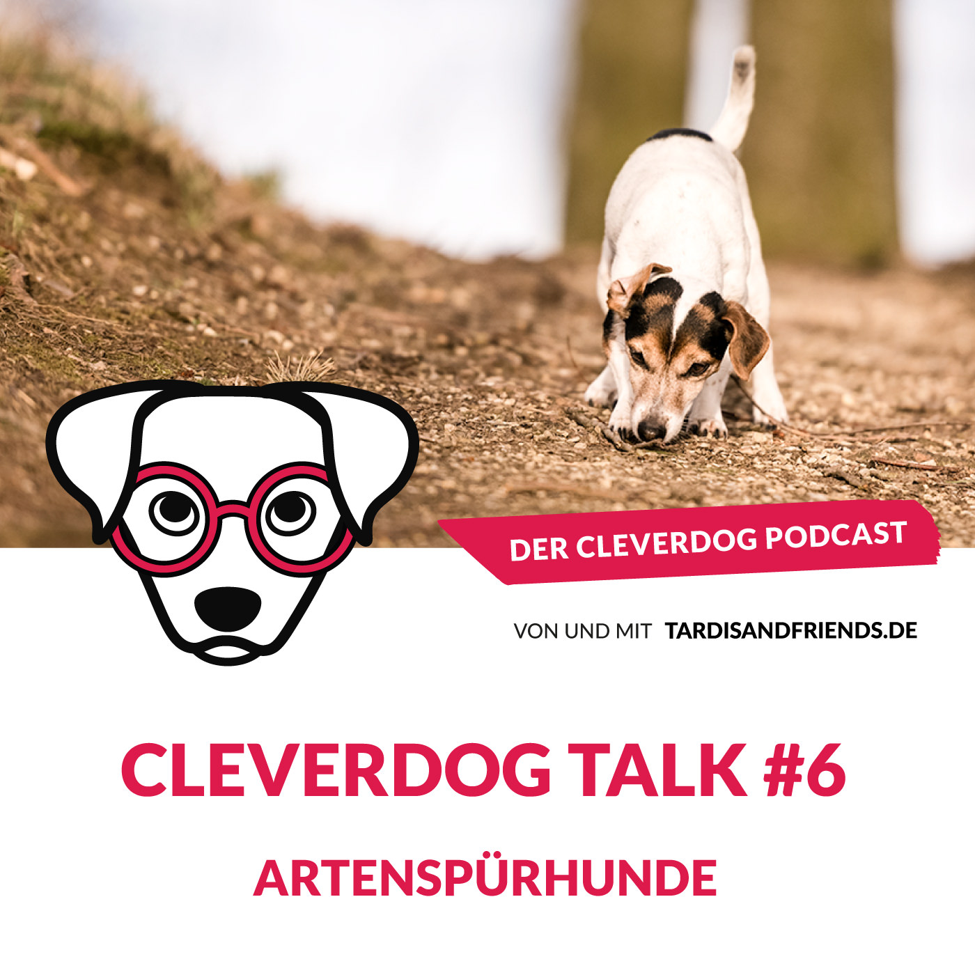 Der Cleverdog Podcast – mehr Wissen rund um den Hund!