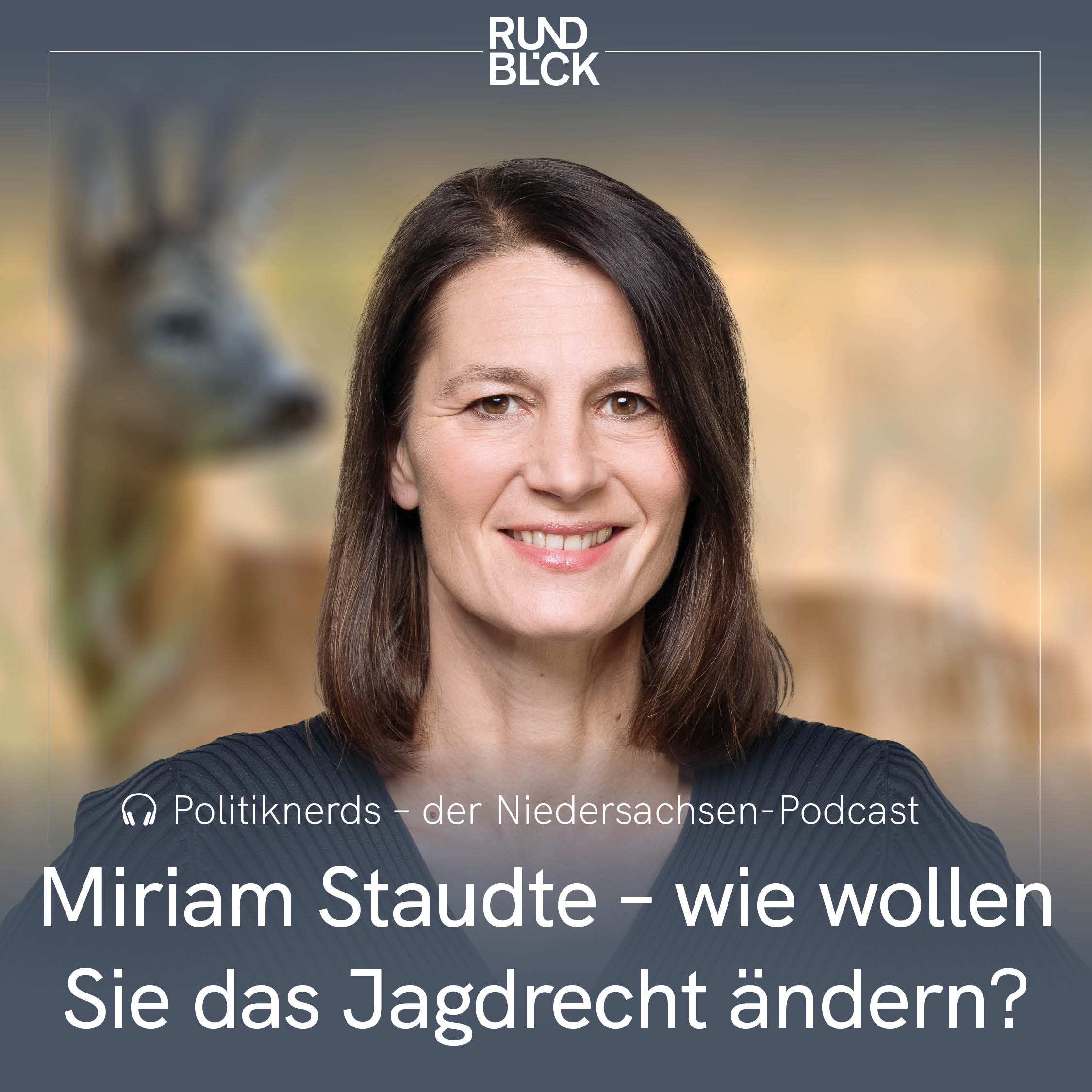 Politiknerds - Der Niedersachsen-Podcast