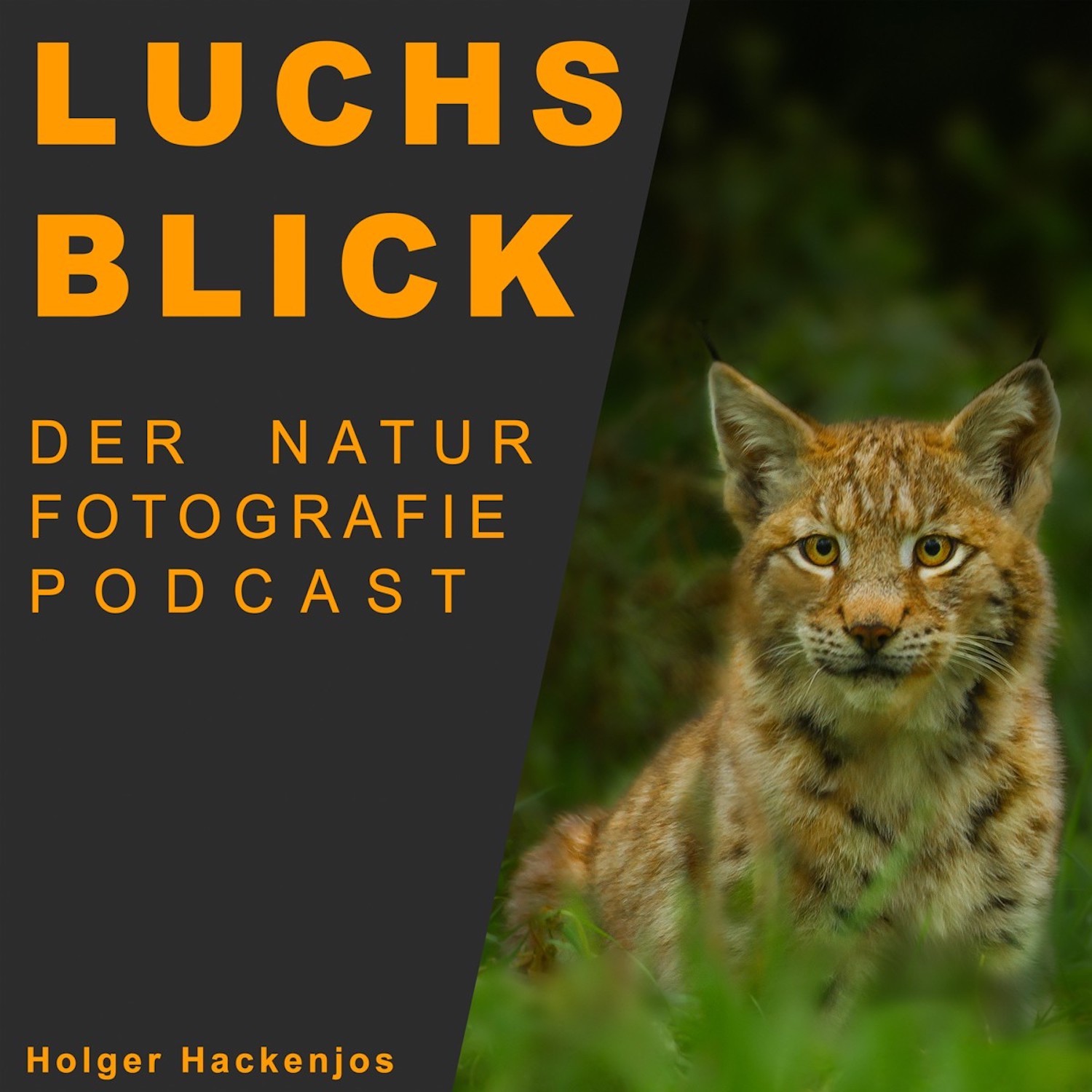 Luchsblick - Naturfotografie mit Leidenschaft meistern