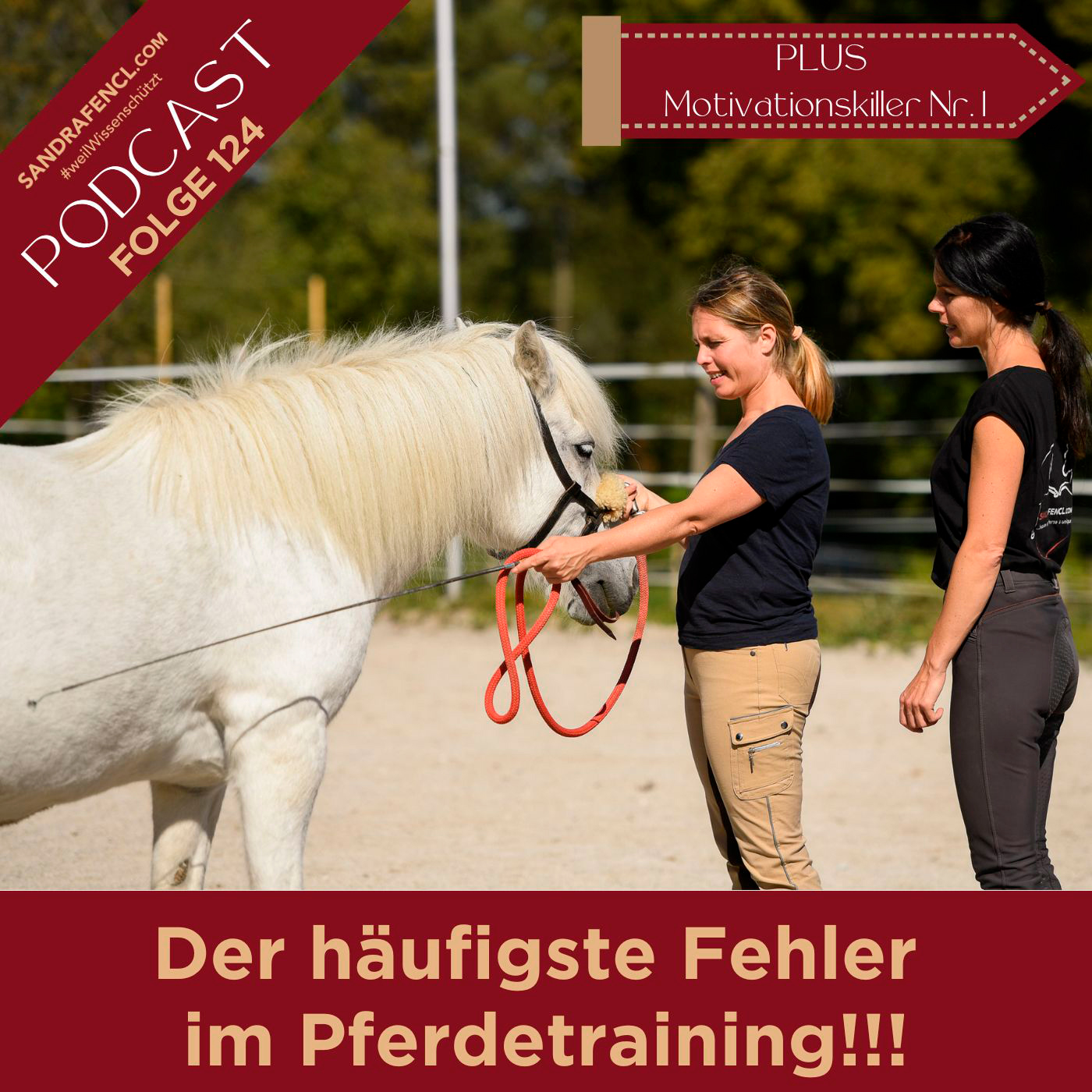 Pferdewissen - ganzheitlich & inspirierend mit Sandra Fencl