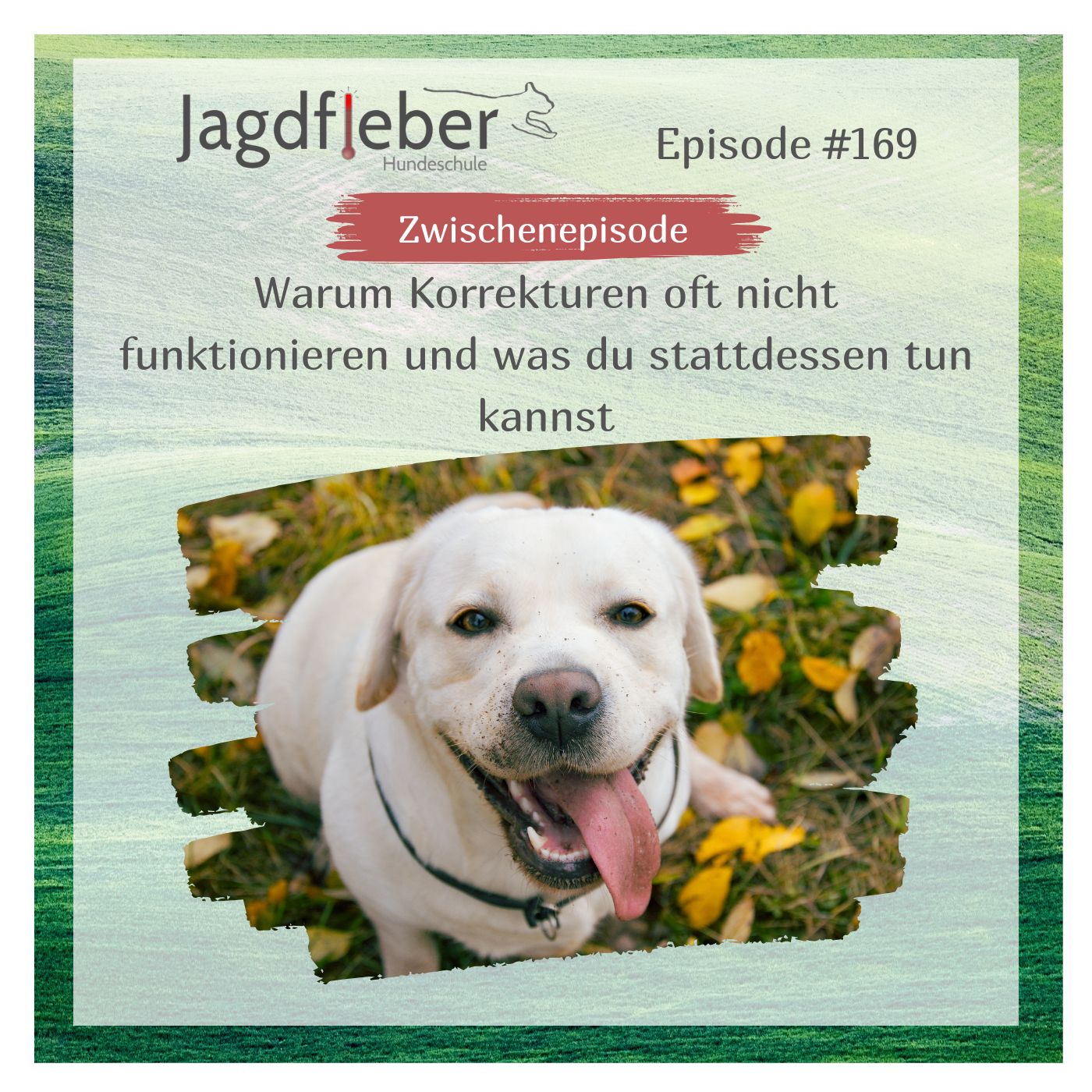 P169: Warum Korrekturen oft nicht funktionieren und was du stattdessen tun kannst episode artwork