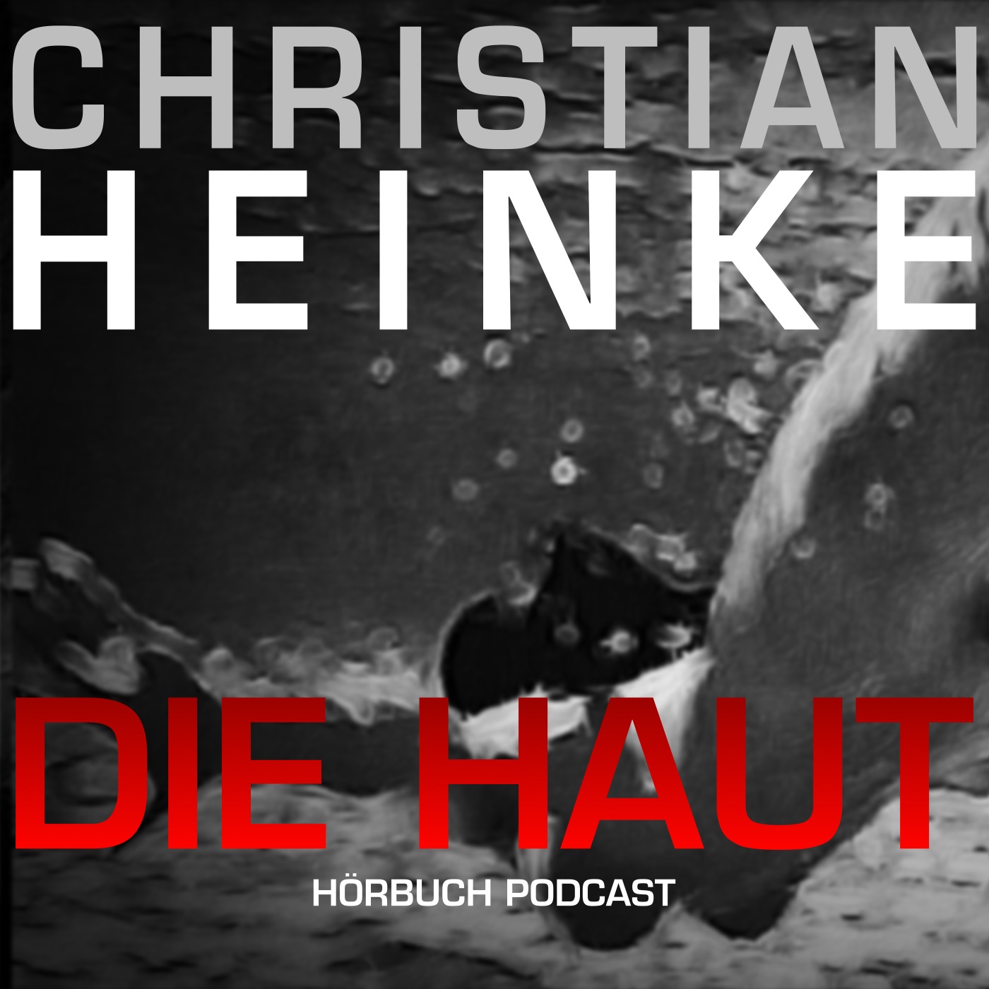 Christian Heinke - Die Haut - Podcast - Audiobook