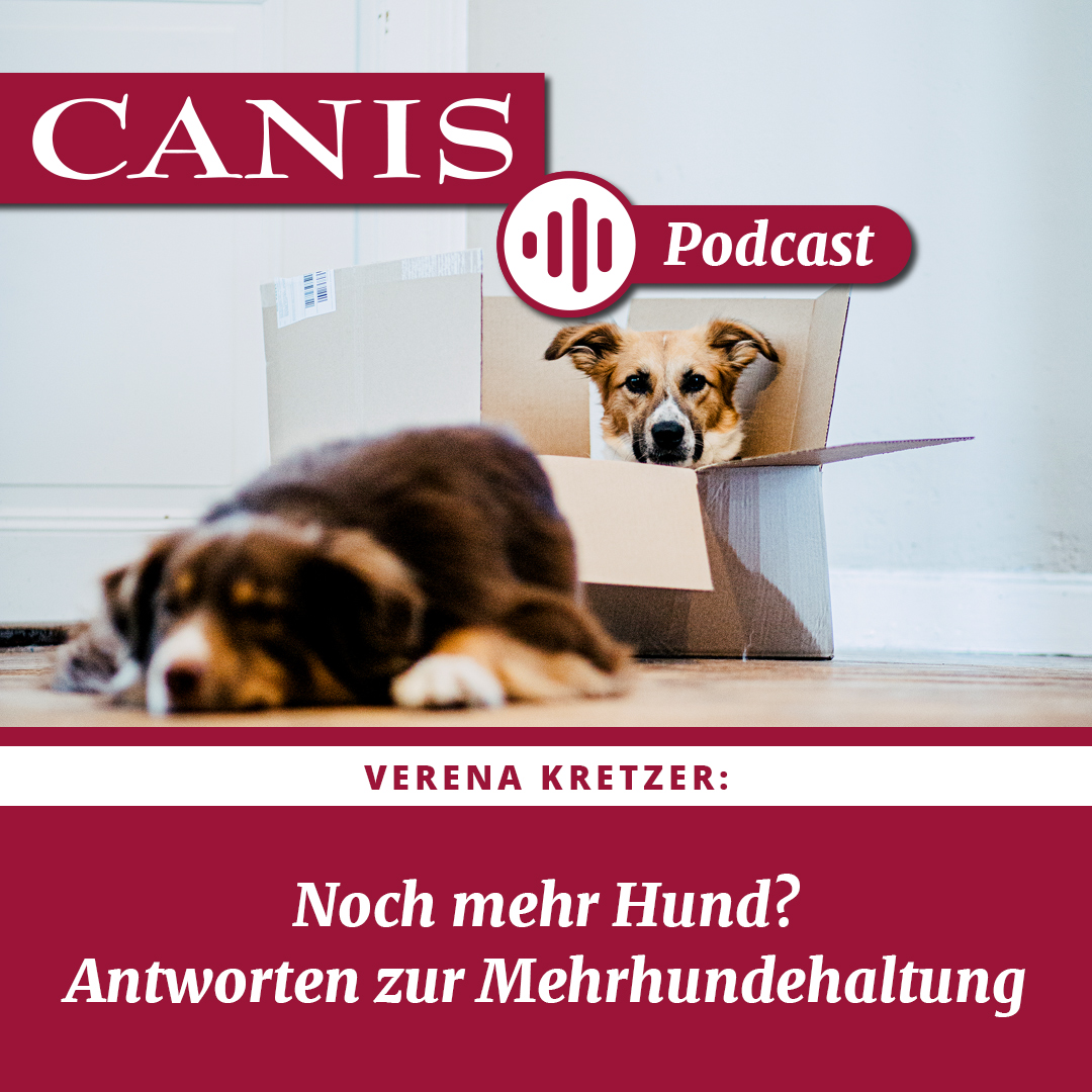 Der CANIS-Podcast – Hundeexpert:innen ausgefragt