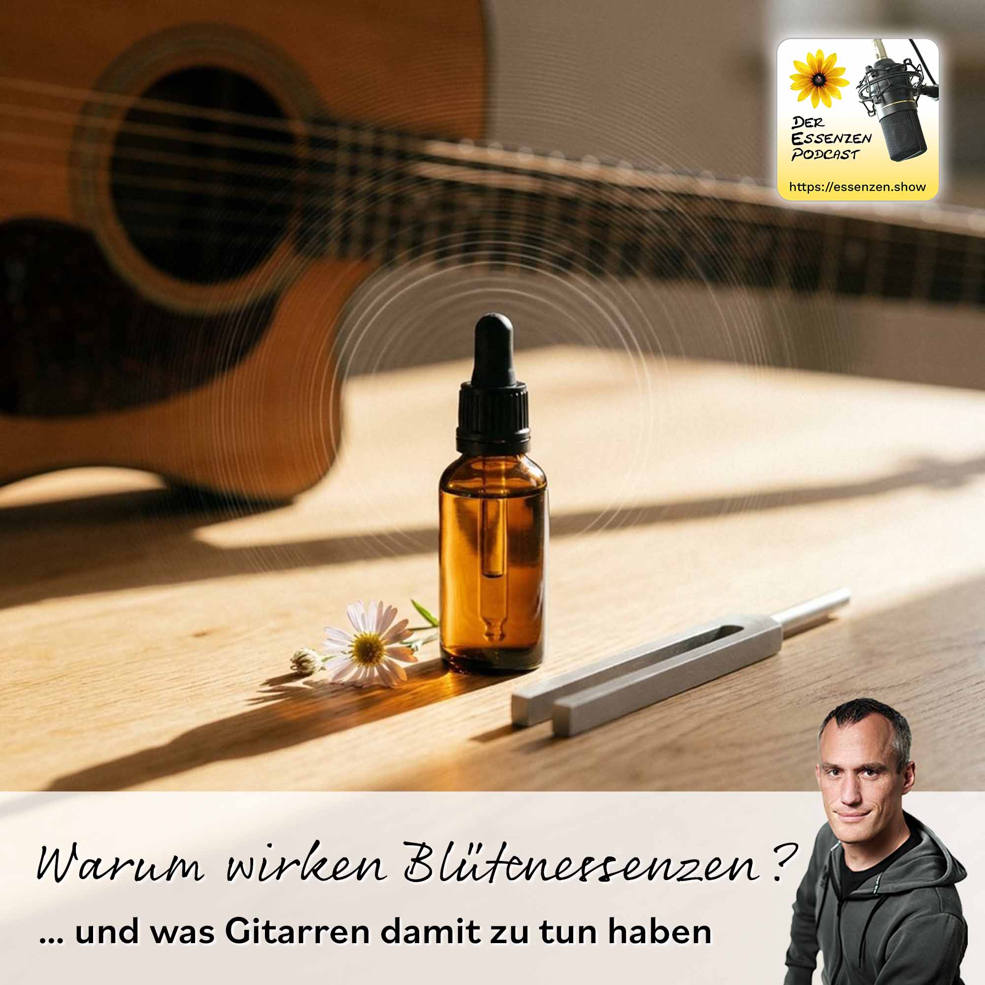 Der Essenzen Podcast Folge 255: Warum wirken Blütenessenzen?