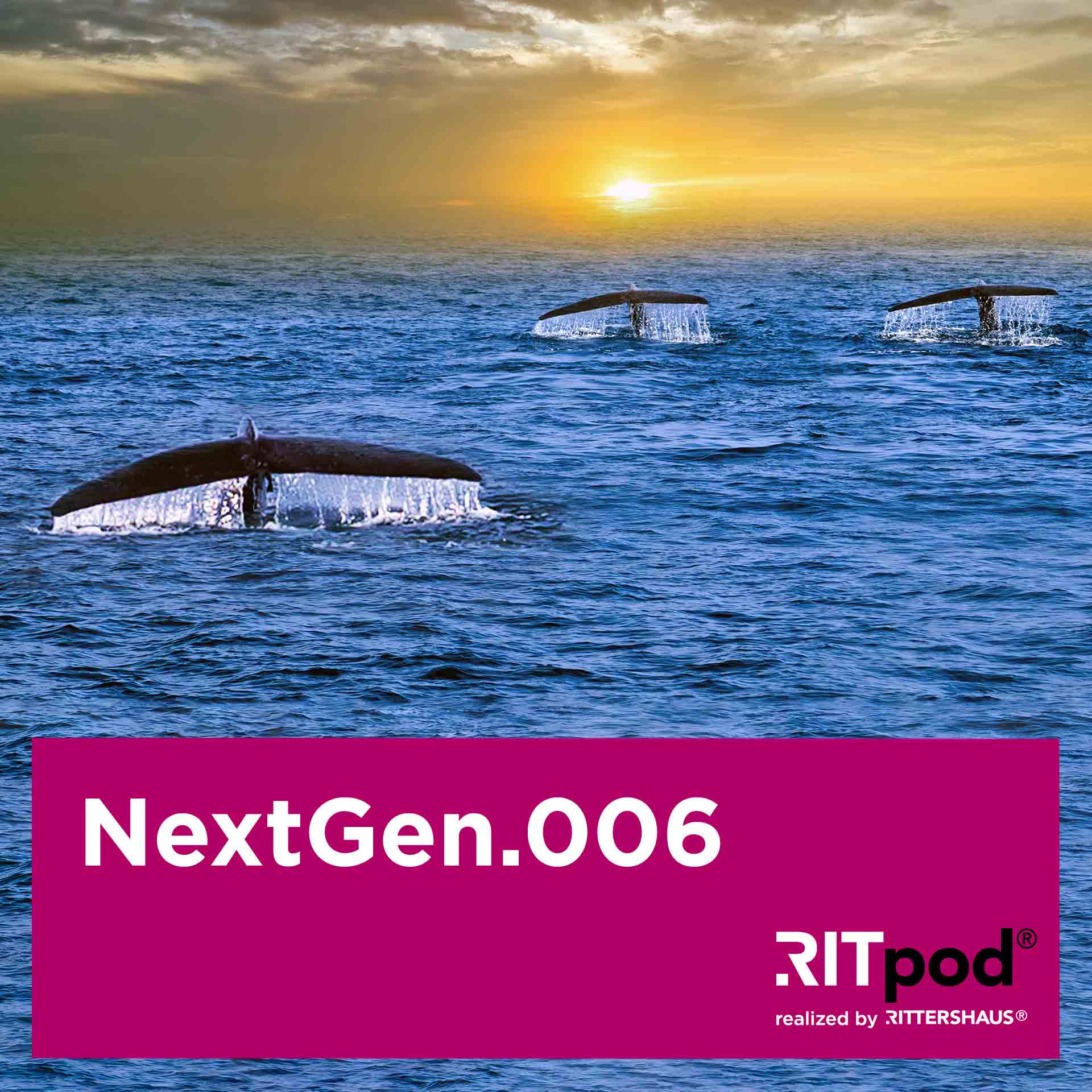 NextGen - Legal Insights zu den Themen Nachfolge, Vermögen und Stiftungen