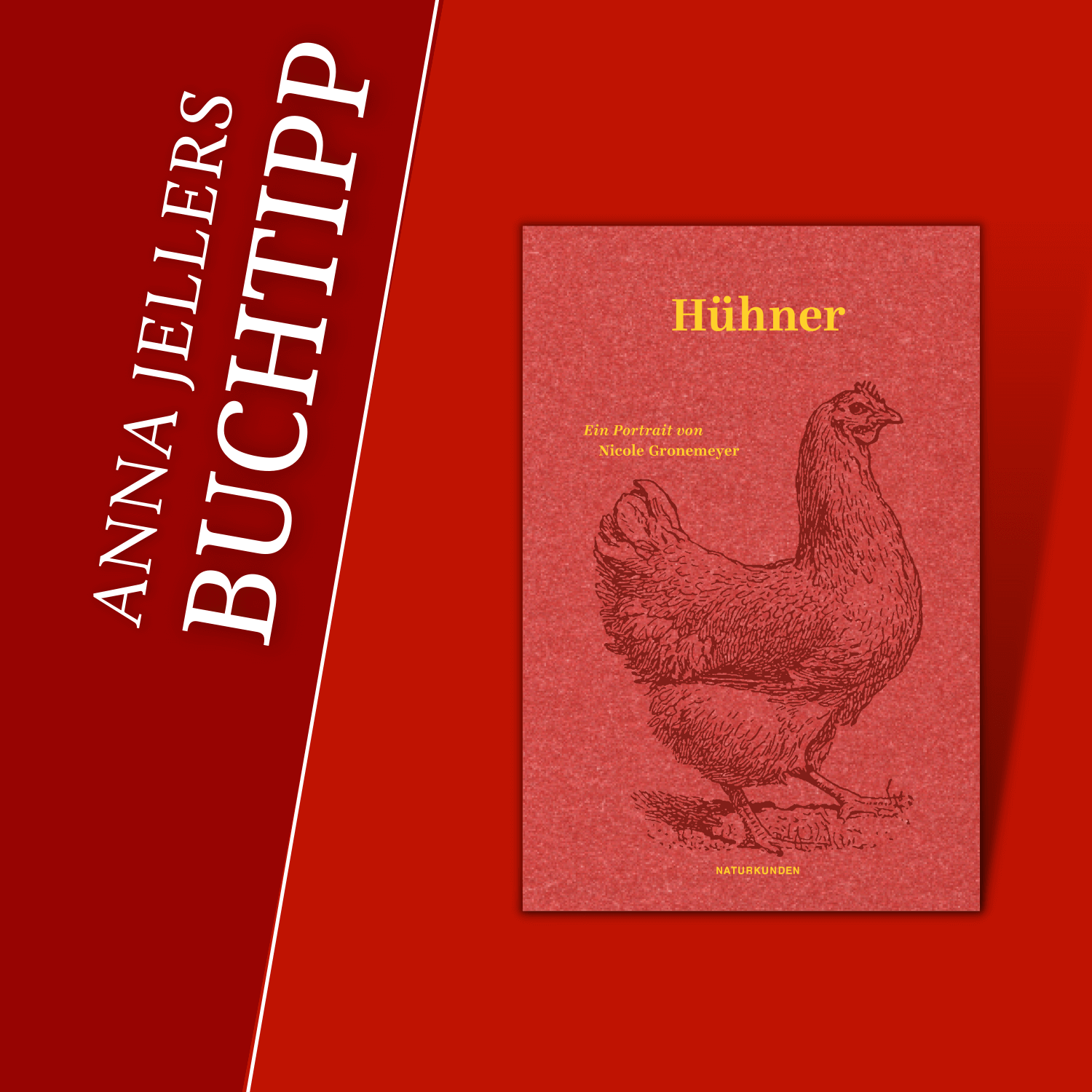 Anna Jeller & die Literatur