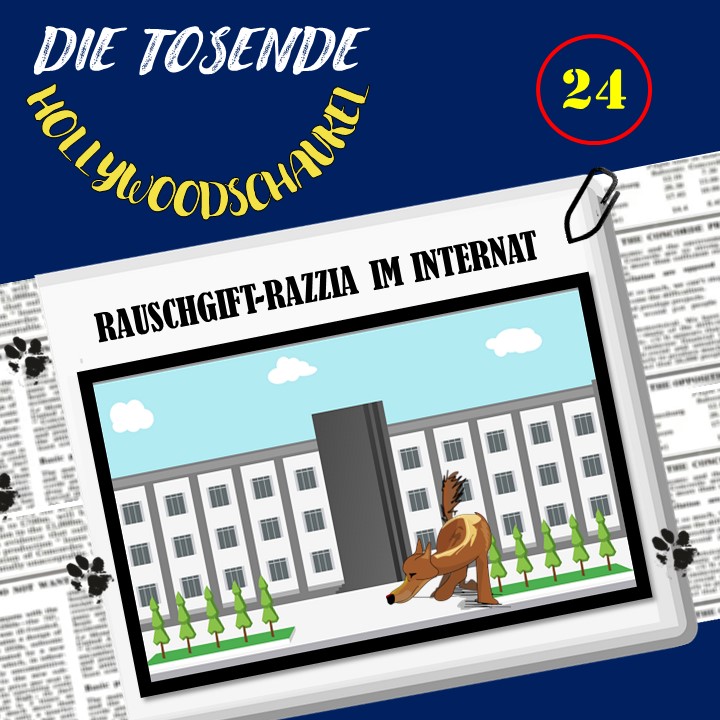 Die tosende Hollywoodschaukel - Der TKKG Podcast