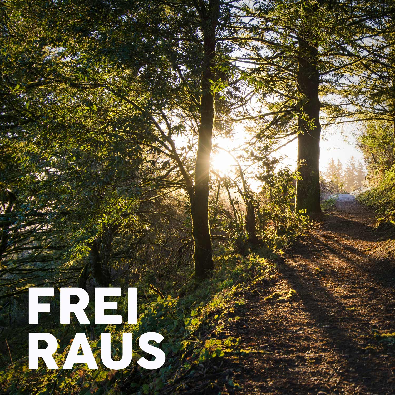 Mehr Resonanz, weniger Bildschirm – wer geht mit mir los? episode artwork